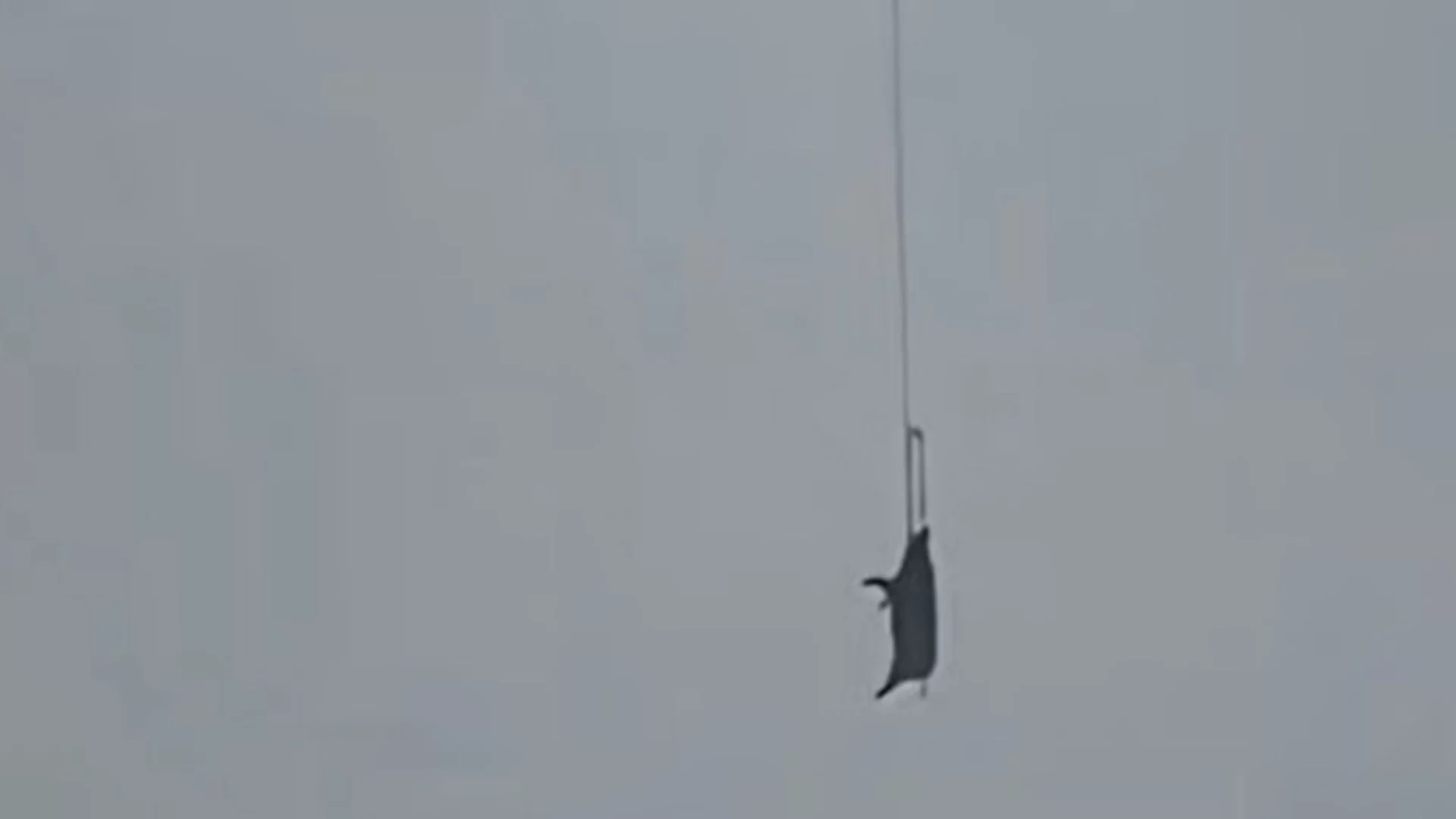 Прасе на дрон остави без ток село в Китай (ВИДЕО)