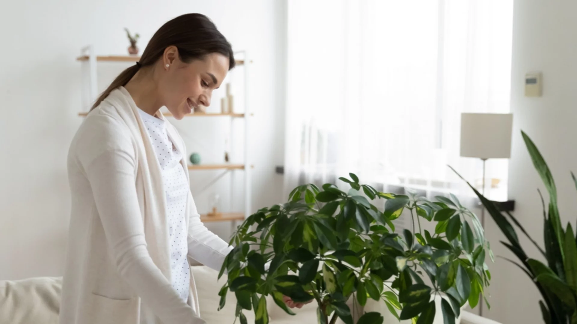 Грешки при поливане, които бавно убиват стайните ви растения