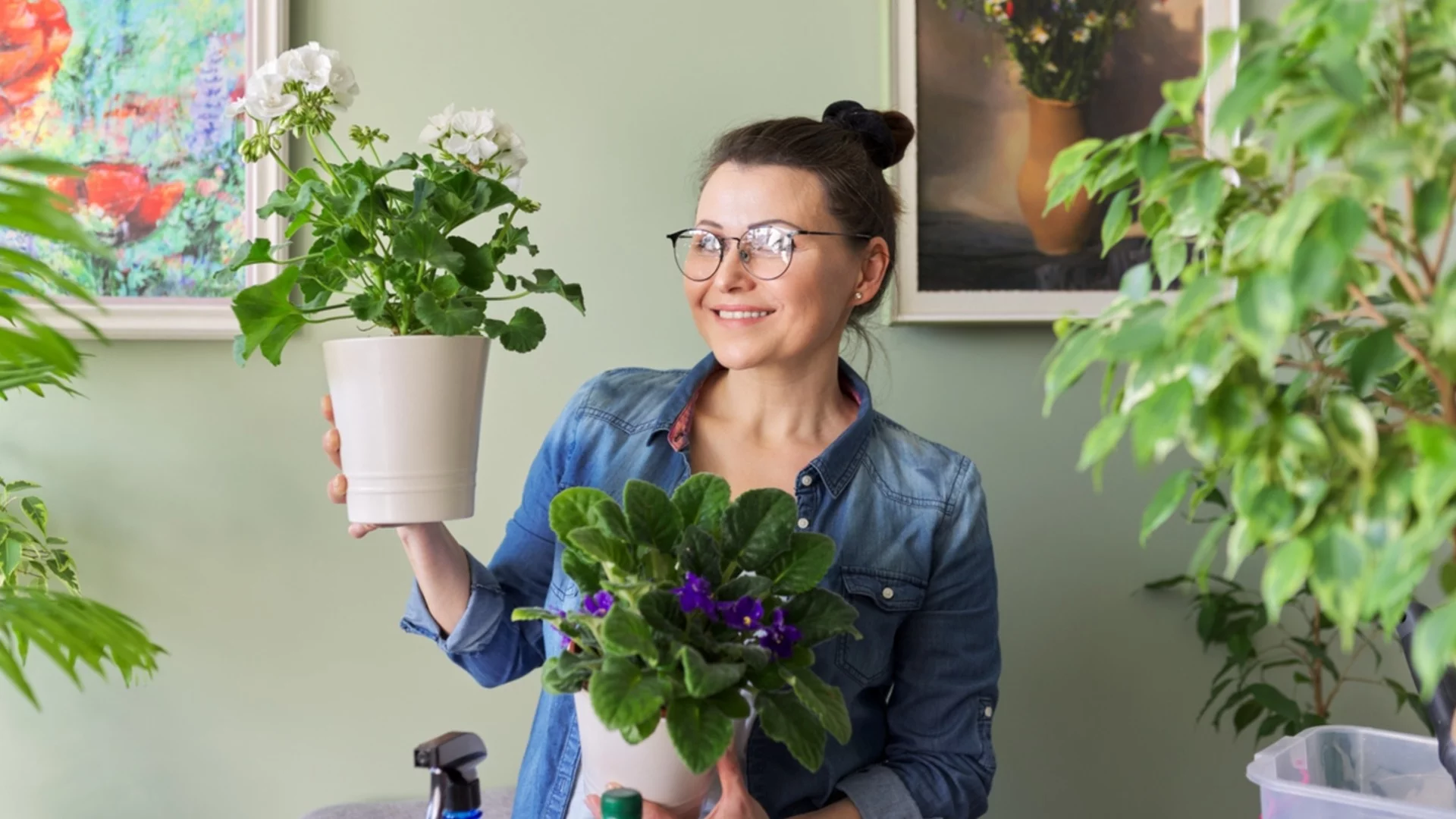Бързорастящи стайни растения, които ще изпълнят дома ви с цвят възможно най-скоро