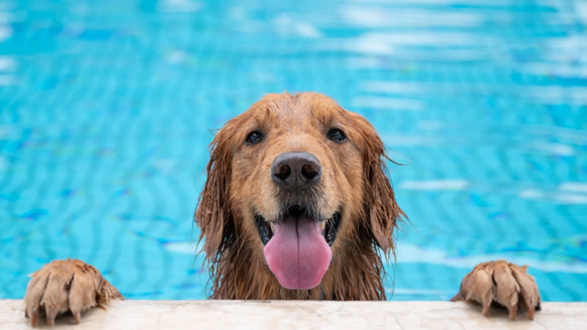 Басейните в Гърция масово са незаконни