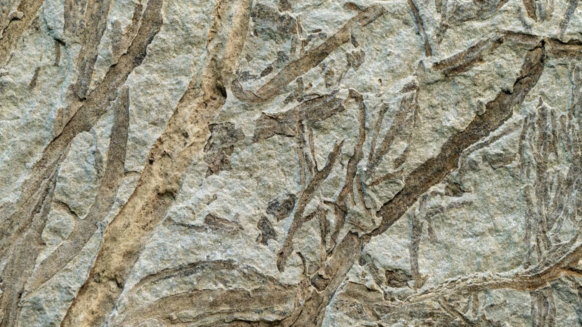 Учен откри странни древни структури на необичайно място в Мароко