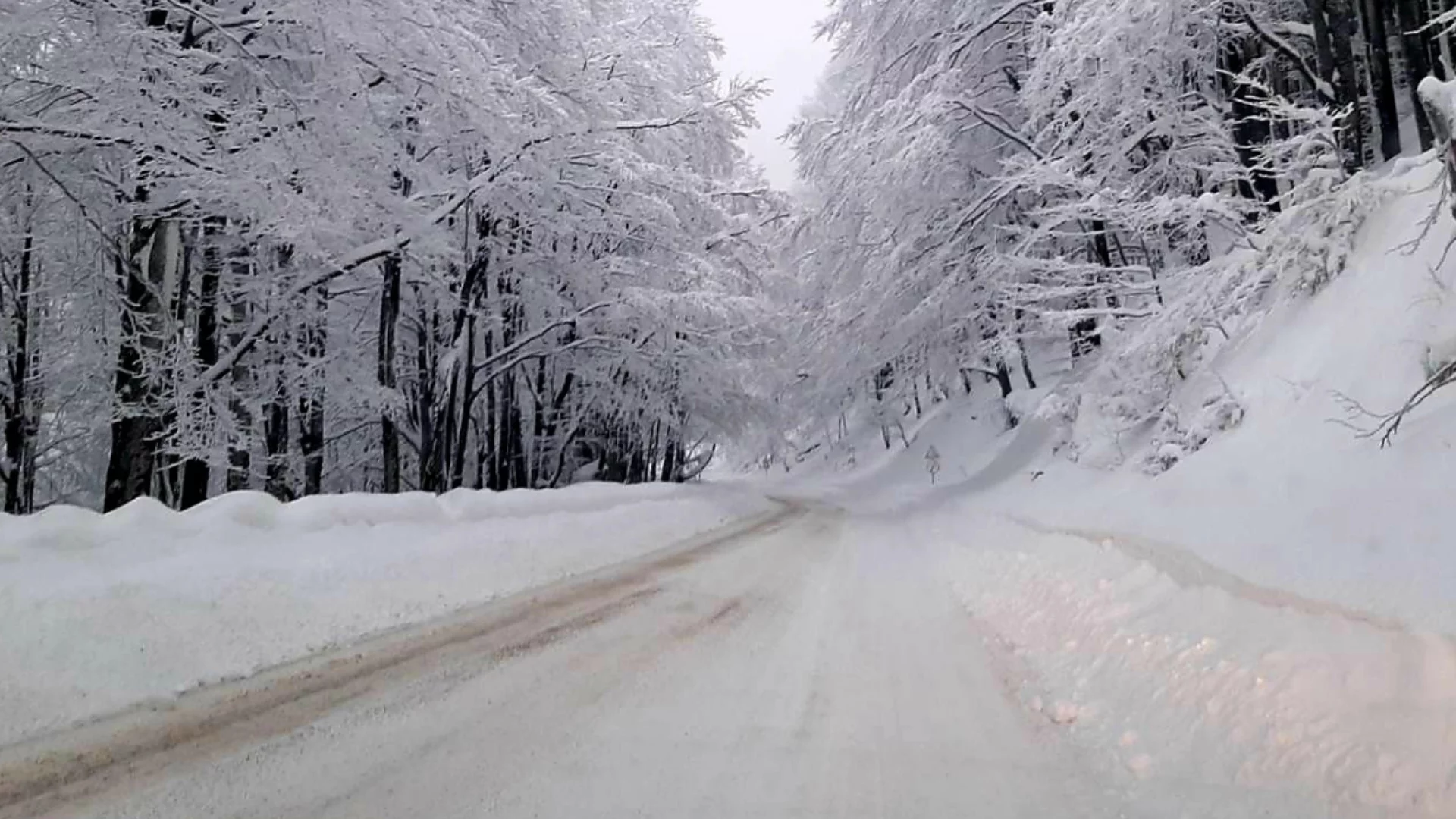 Извънредно студио на БНТ - вариантът да става дума за убийства не се дискутира: Манол Пейков със знакова оценка