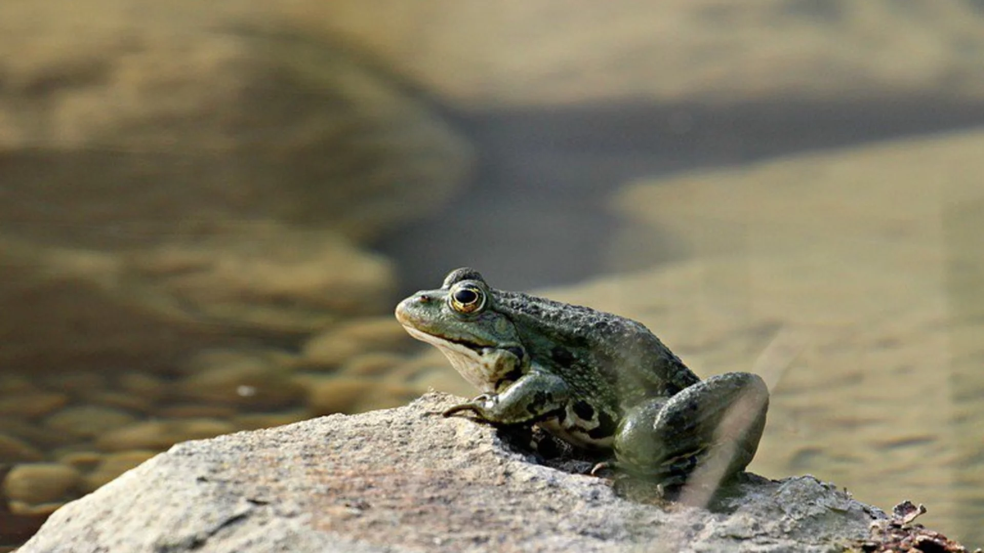 Мистерията с " Езерото на смъртта": Какво стои зад нея