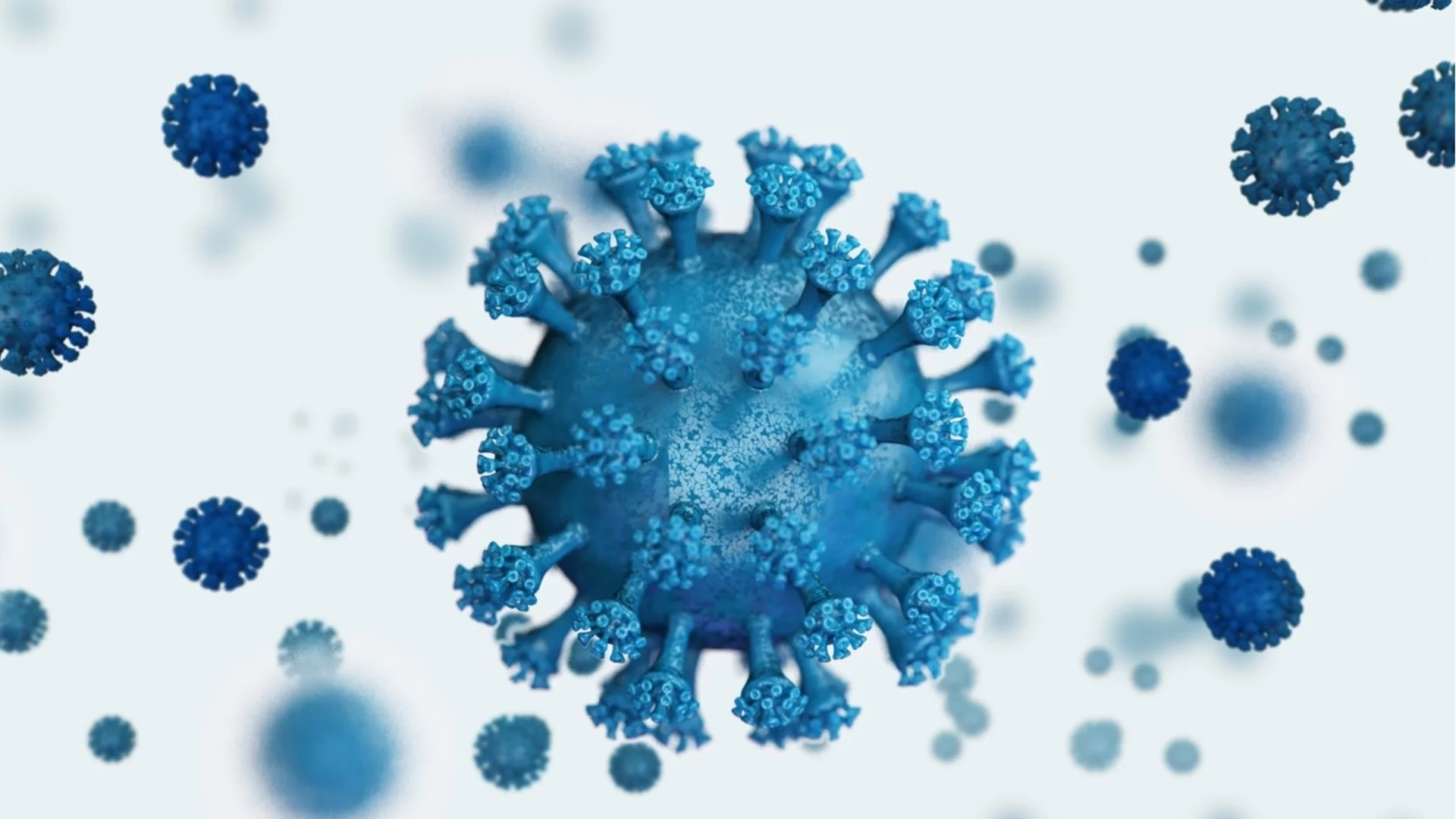 Суров сок от фурми: Смъртоносен случай от вируса "Нипа" и в Бангладеш