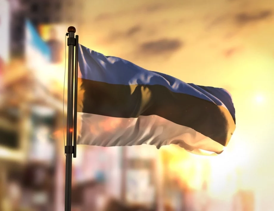 Нов пазар: Кое увеличи в пъти повече вноса от Естония за България?