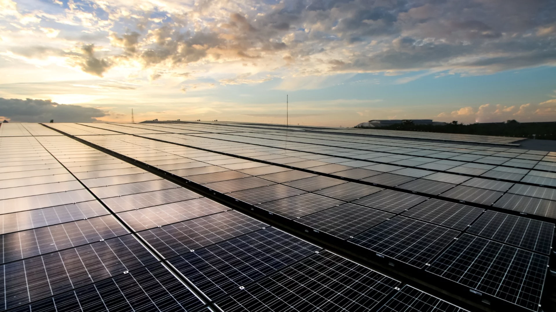 Българска община размени с инвеститор 10 000 дка пасища срещу улични лампи, минимална заплата и помощ за местния футбол