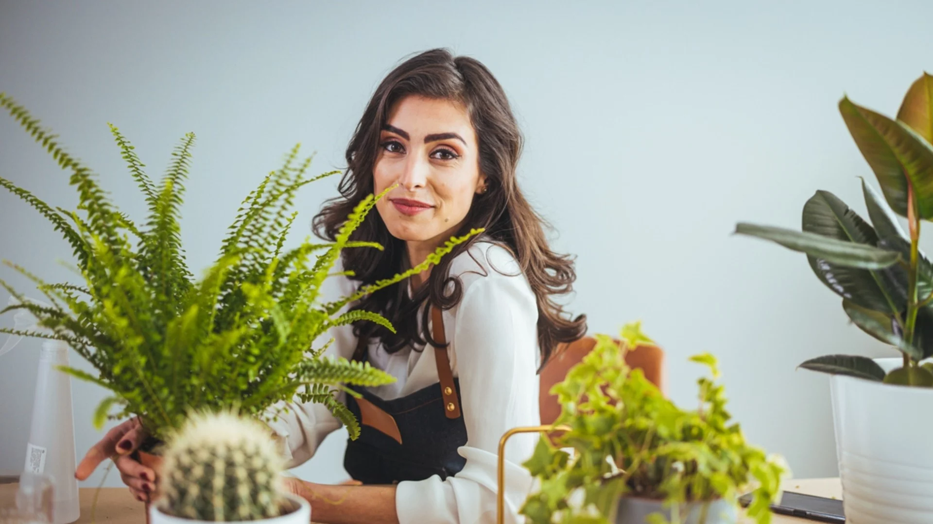 Зашеметяващото стайно растение, което може да оцелее дори през студените зимни месеци  