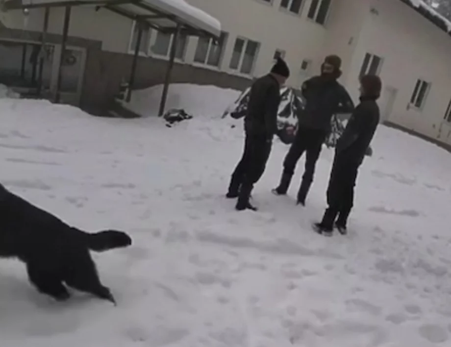 Прокуратурата за "Околчица": Вероятно две убийства и едно самоубийство