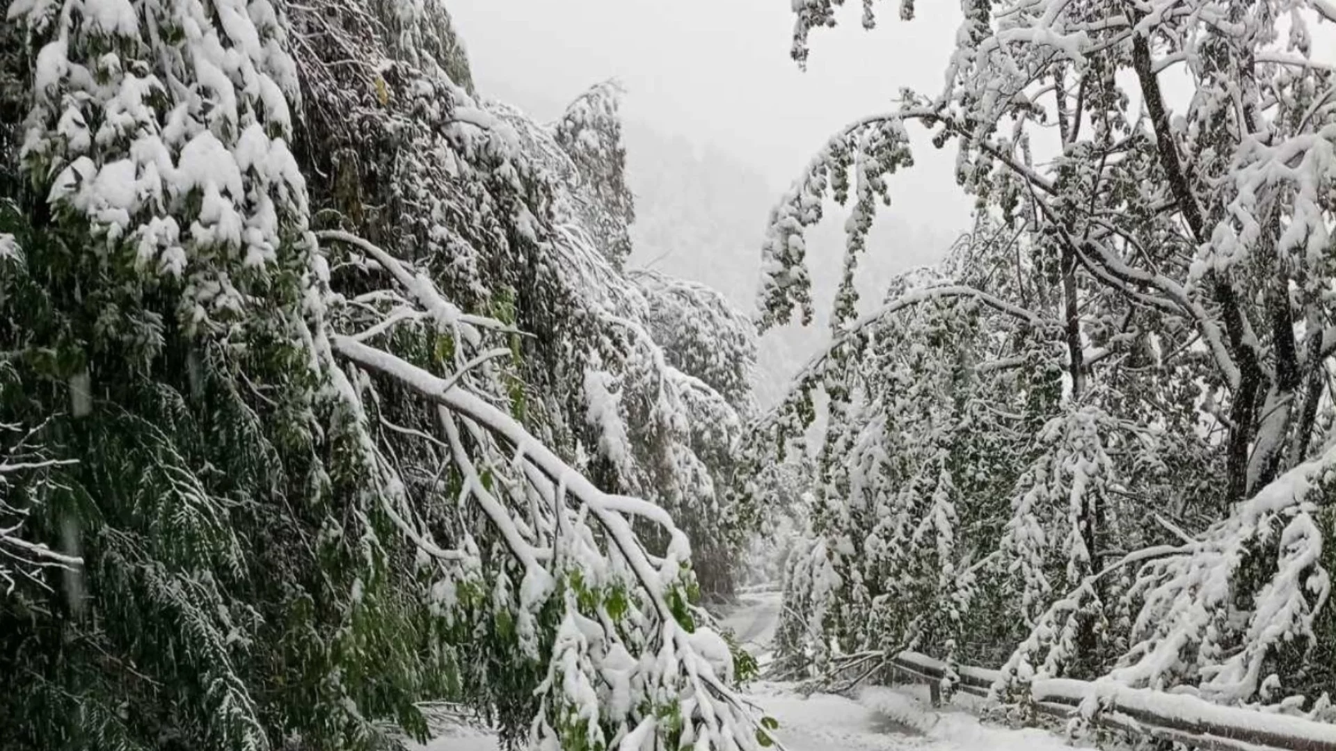 Още съмнения по случая "Петрохан": Как МВР откри Starlink, а руснаците не успяват в Украйна