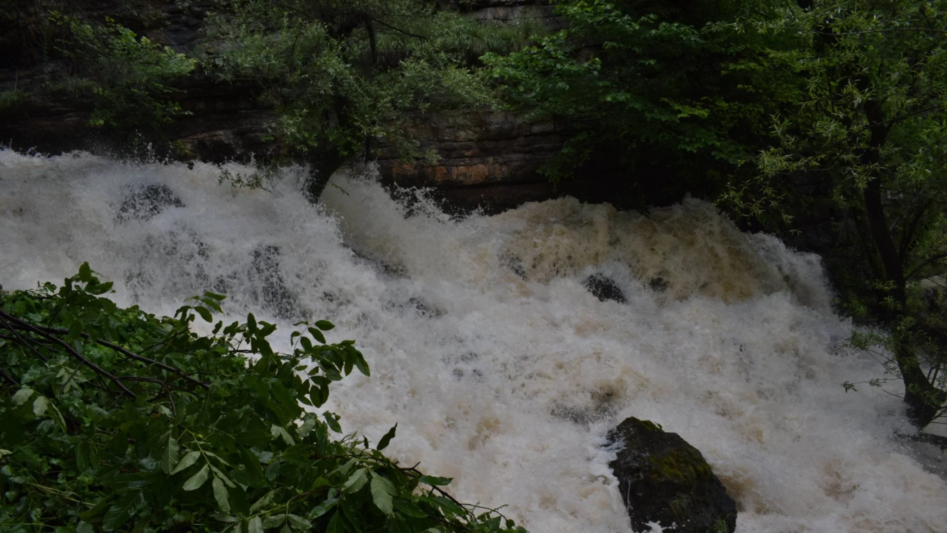 Пожарникари от Девин спасиха ловно куче, озовало се в буйна река (ВИДЕО)