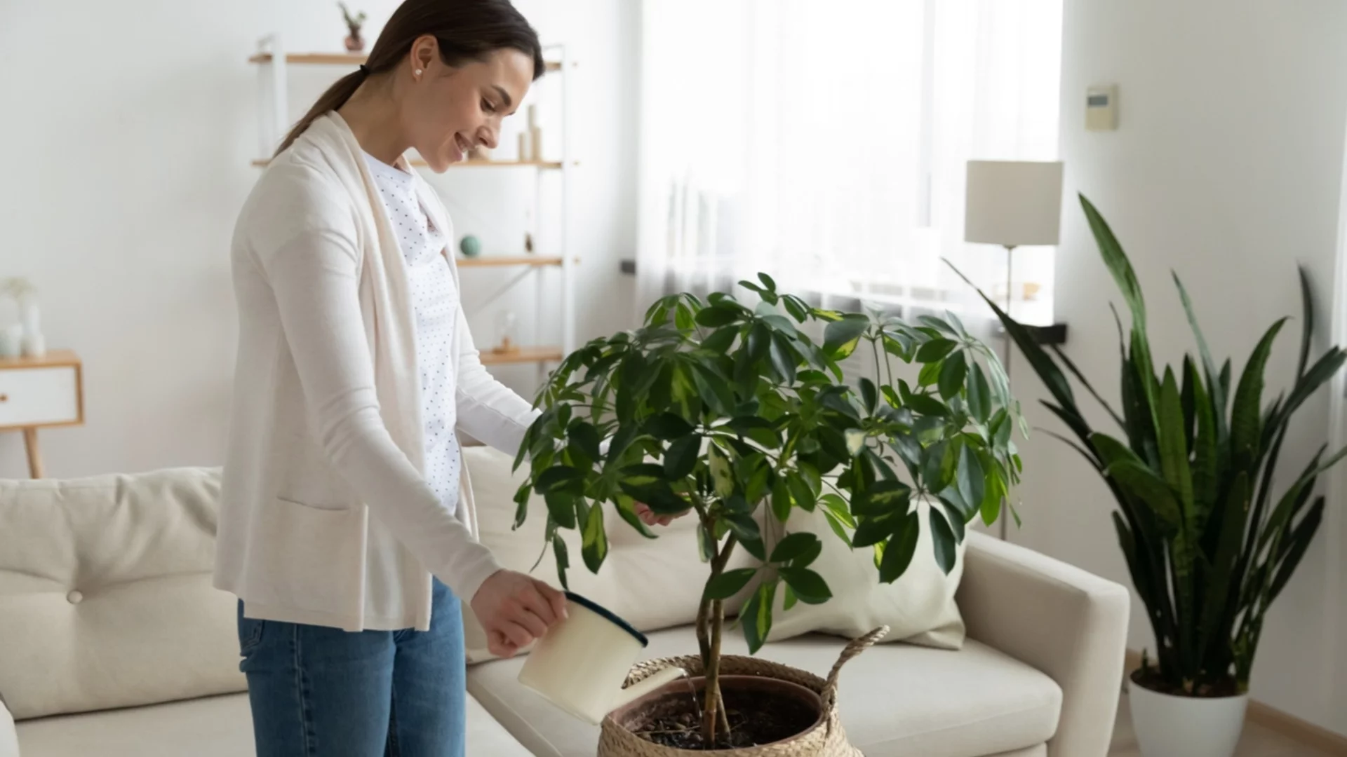 Поливате ли растенията си с такава вода – и полезно ли е всъщност?