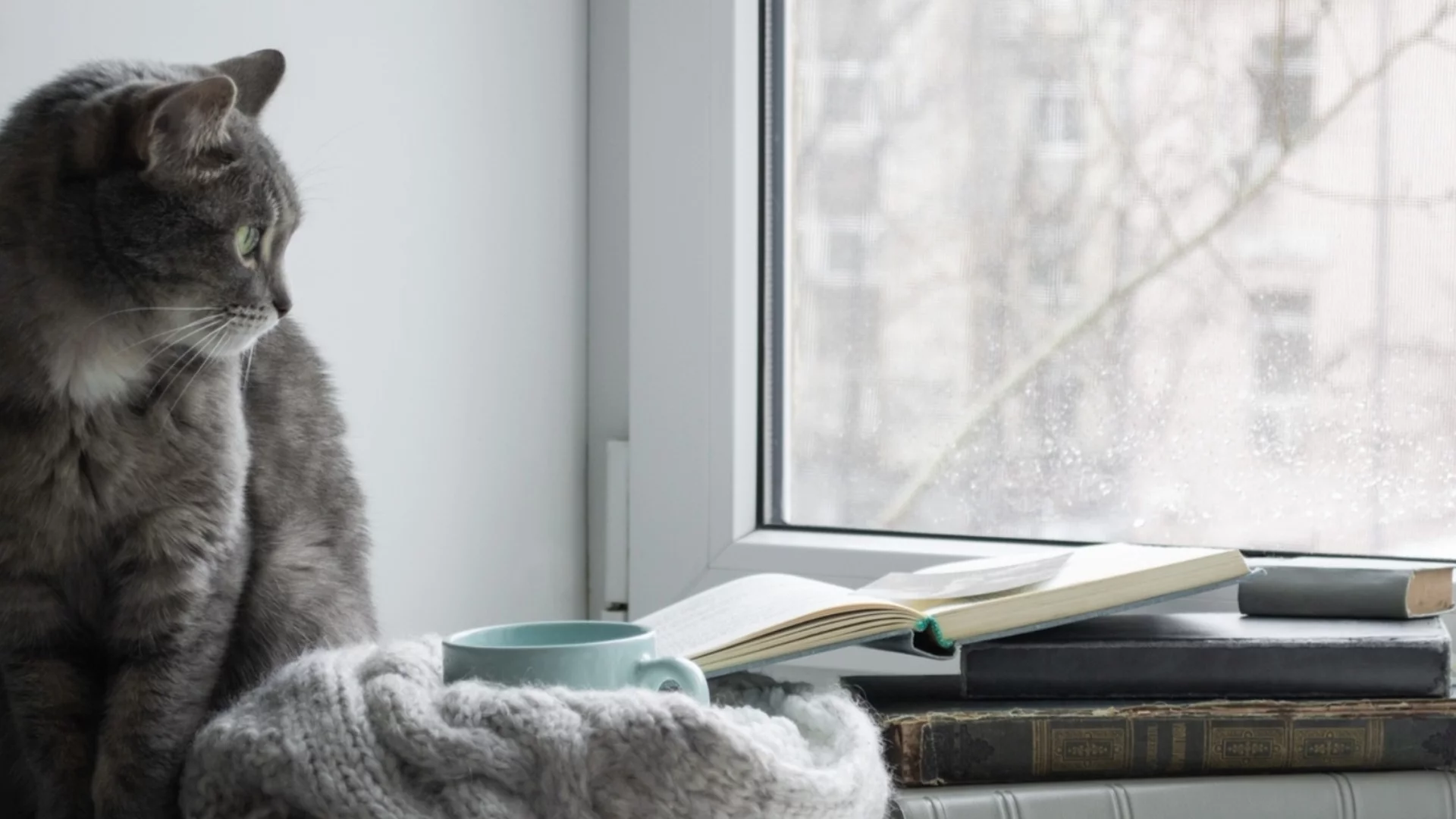 Жълт код за валежи. Времето утре - 13 февруари 2026 г. 