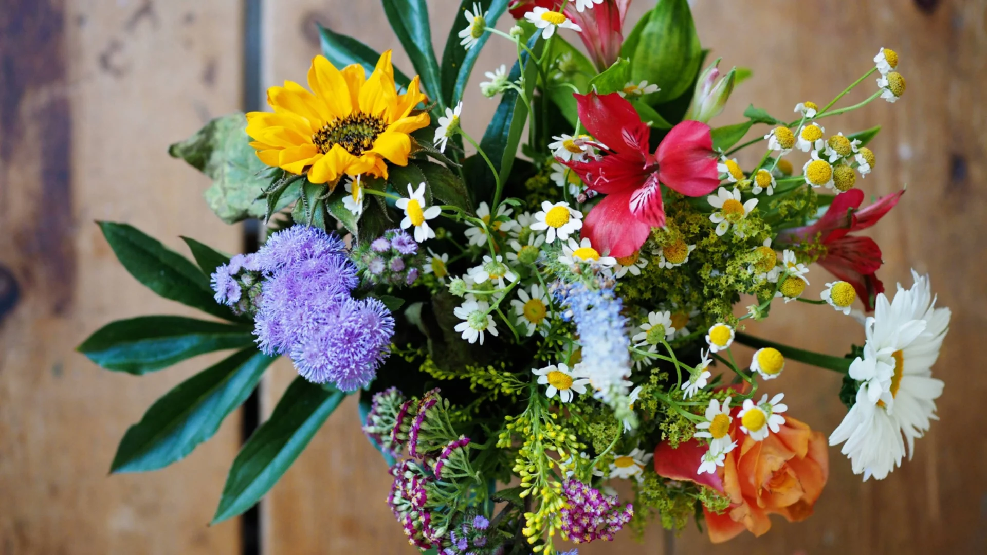 Никога не подарявайте ТЕЗИ цветя за Свети Валентин - ето какво послание носят