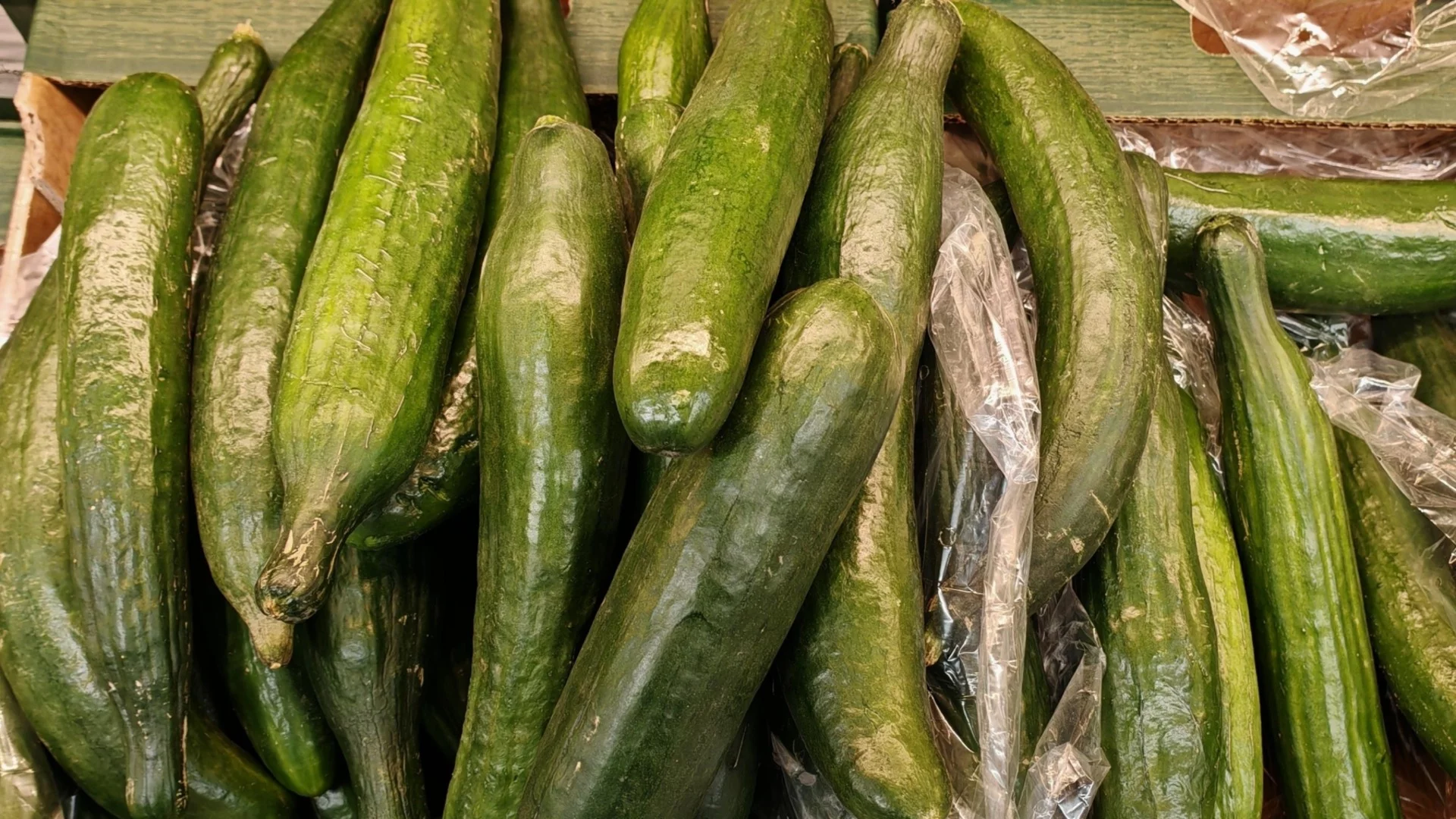 "По-скъпи от екзотичните плодове": В Русия разследват рекордното поскъпване на краставиците