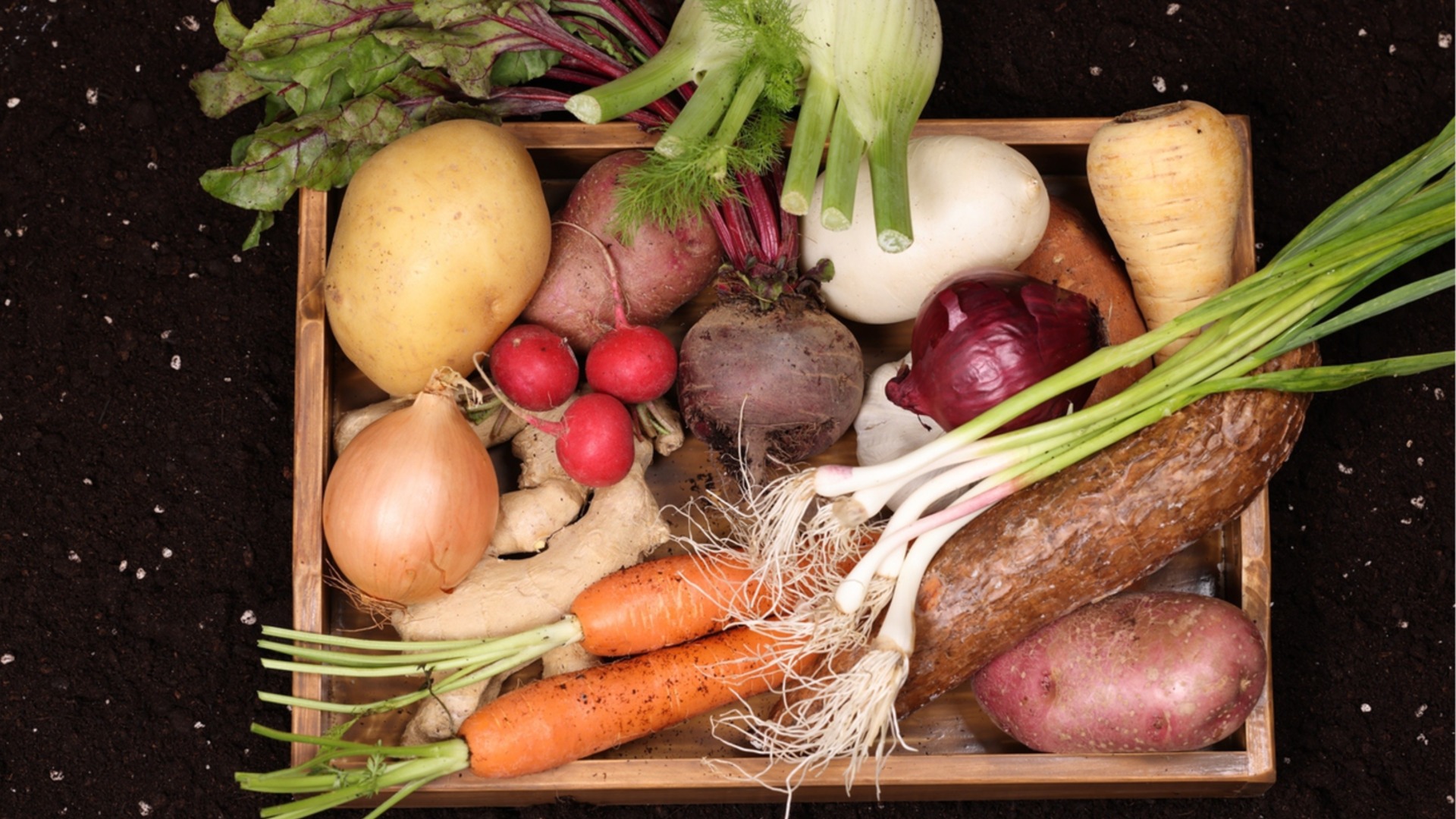 Кореноплодни зеленчуци за отглеждане във вашата градина