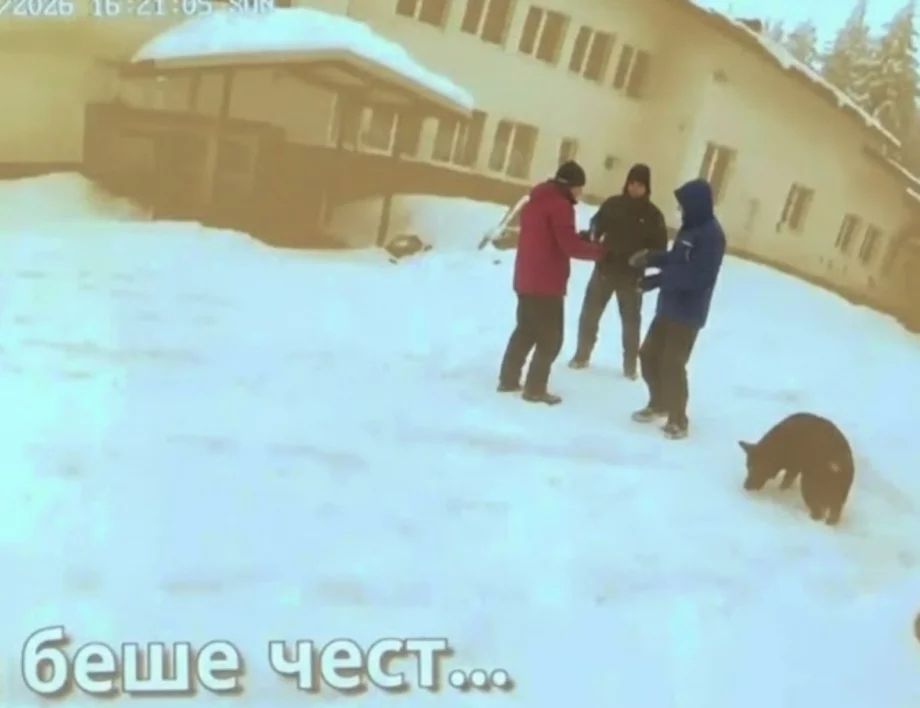 10 души с АТВ-та и множество гилзи: Първите показания за хижа "Петрохан" - да или не?