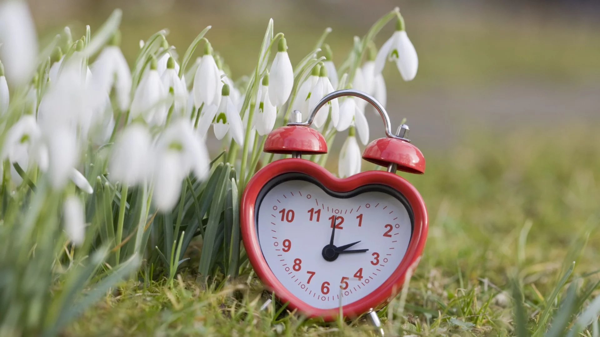 Смяна на часа 2026: Кога местим стрелките на часовника тази пролет?