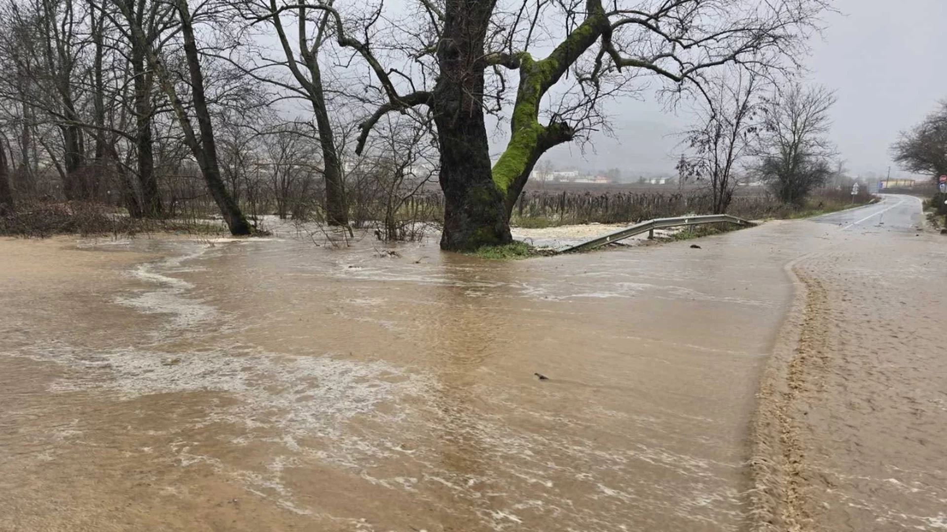 Наводнения, паднали дървета и населени места без ток: Резултатът от пороите и вятъра в Южна България (ВИДЕО)