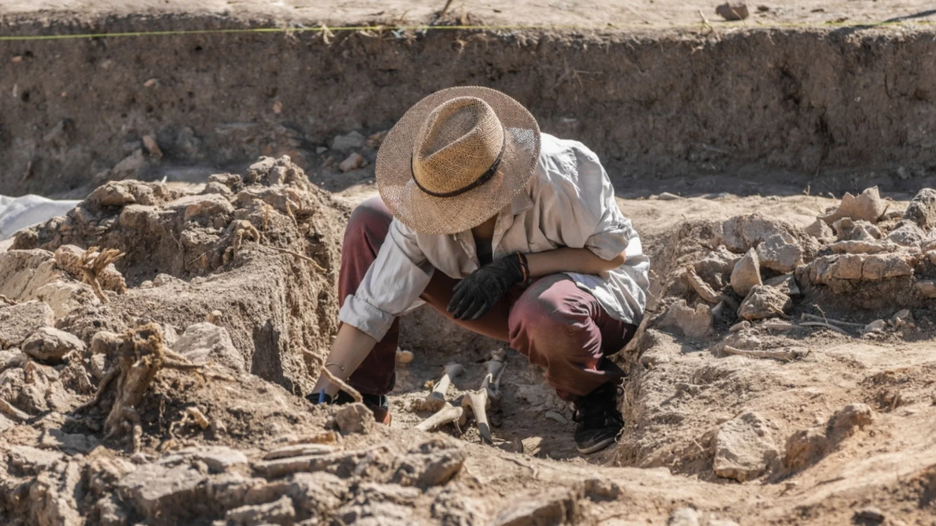 Отриха доказателство за човешко присъствие във Великобритания от края на последния ледников период