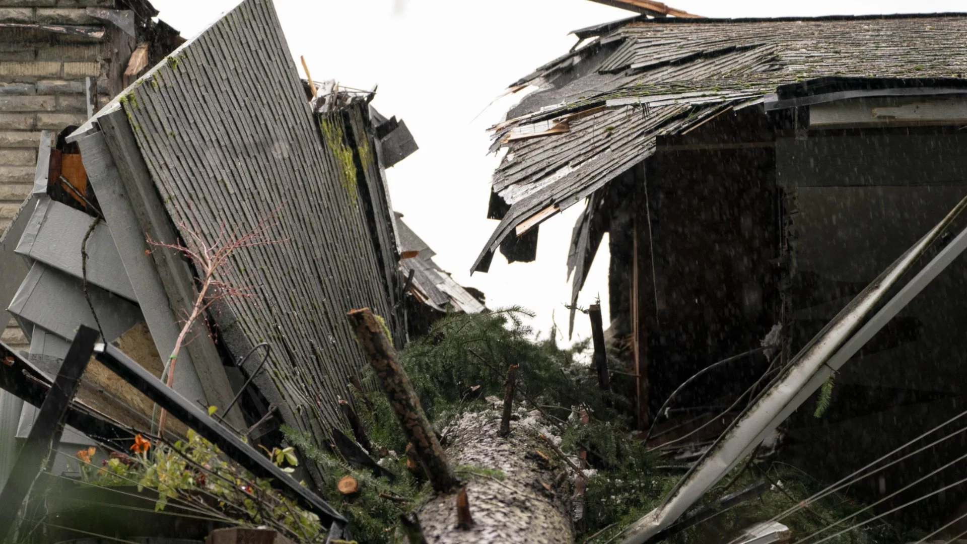 Отнесени покриви и паднали дървета: Мощна буря в Турция (ВИДЕО)