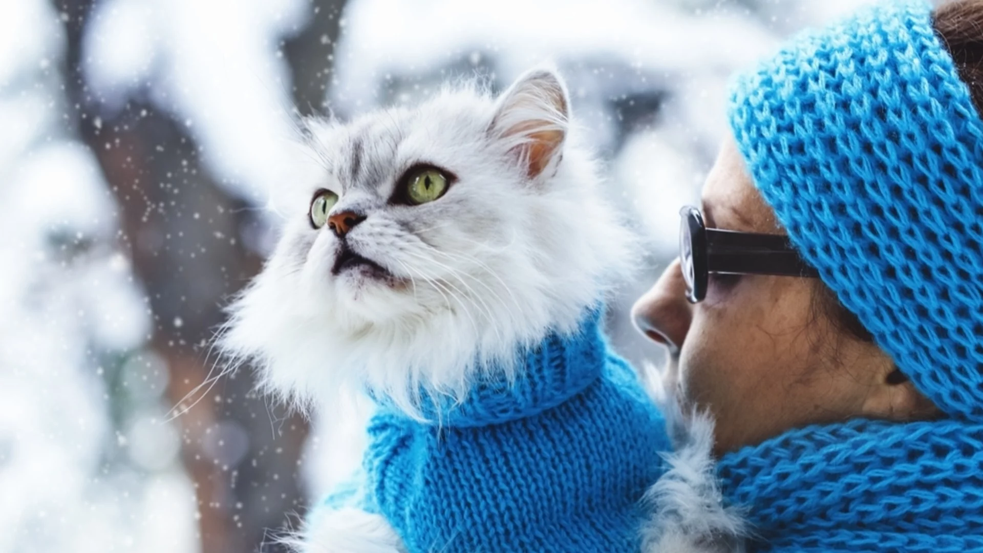 Времето утре - 17 февруари 2026 г. 