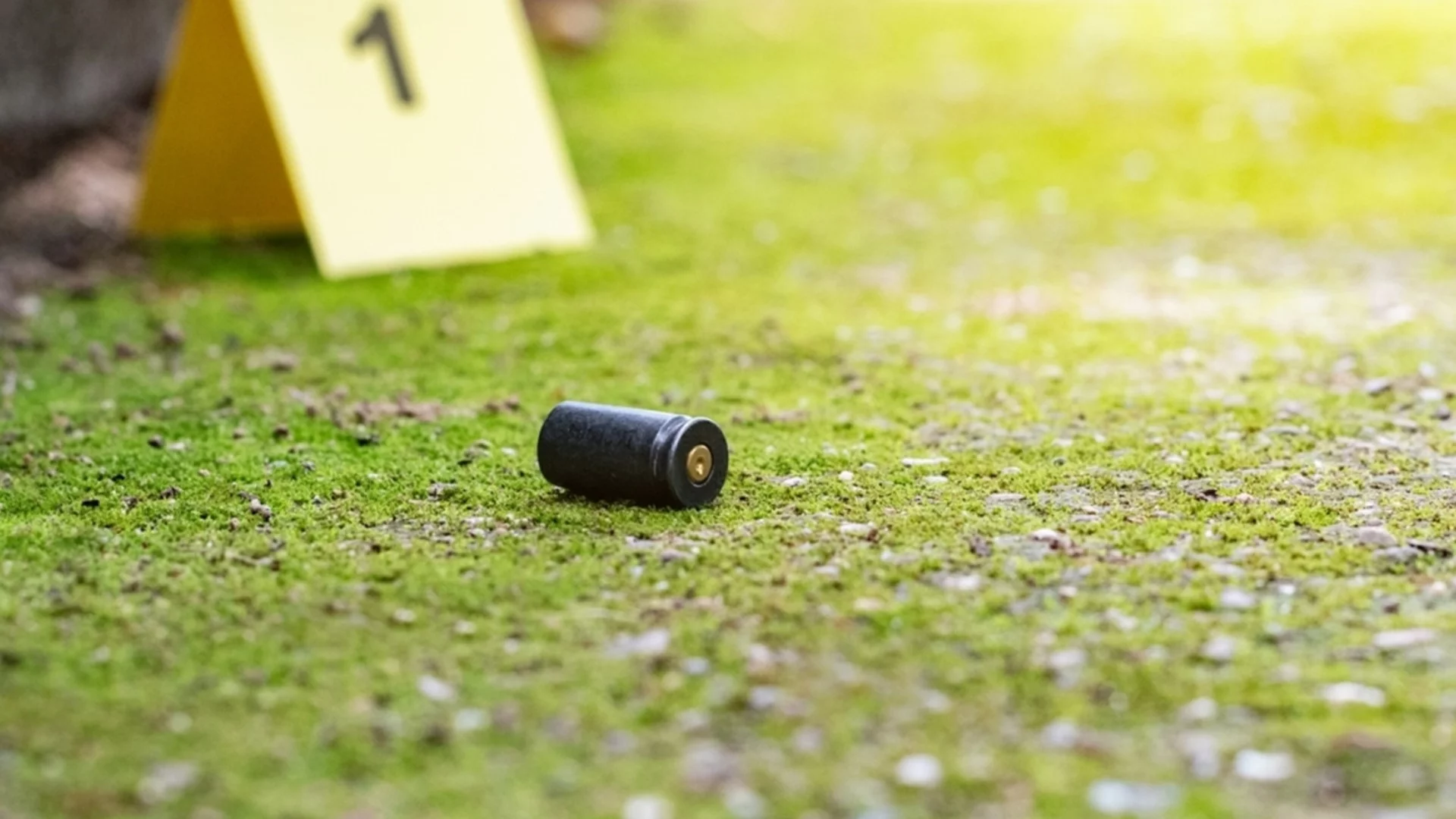 Многото гилзи в хижа "Петрохан": МВР каза имало ли е стрелба