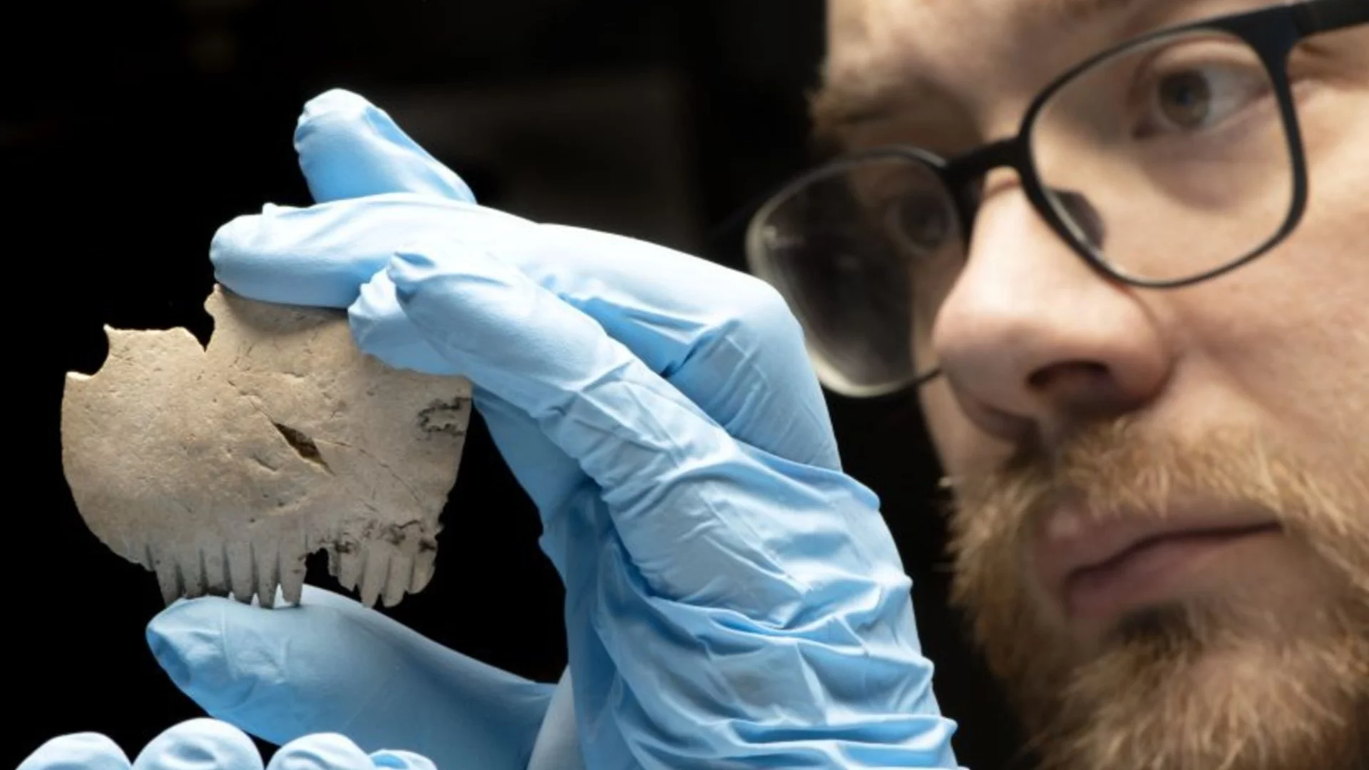 Находка от Петралона на 300 милиона години може да пренапише историята на човешката еволюция