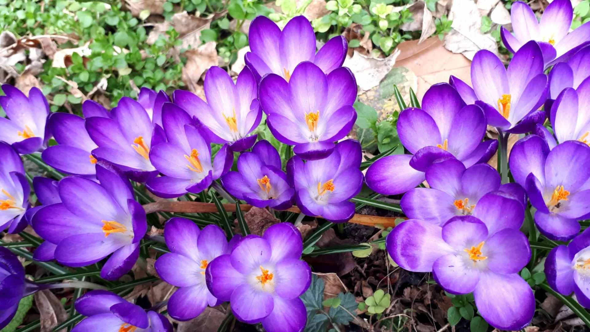 Времето утре - 19 февруари 2026 г. 