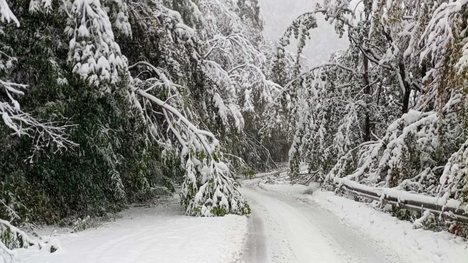 Смолян обяви частично бедствено положение, села са без ток
