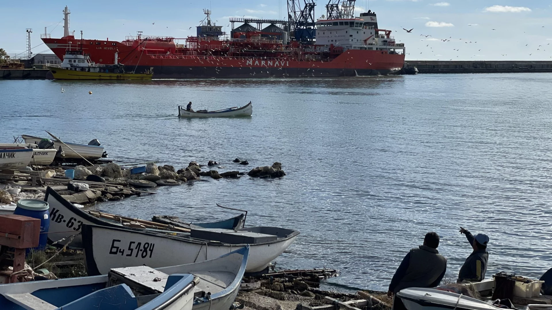 Притеснителни данни за изчезналия рибарски кобар край Маслен нос