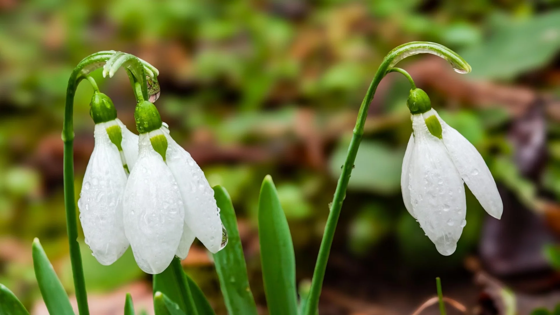 Прогноза за времето - 22 февруари 2026 г. (неделя)