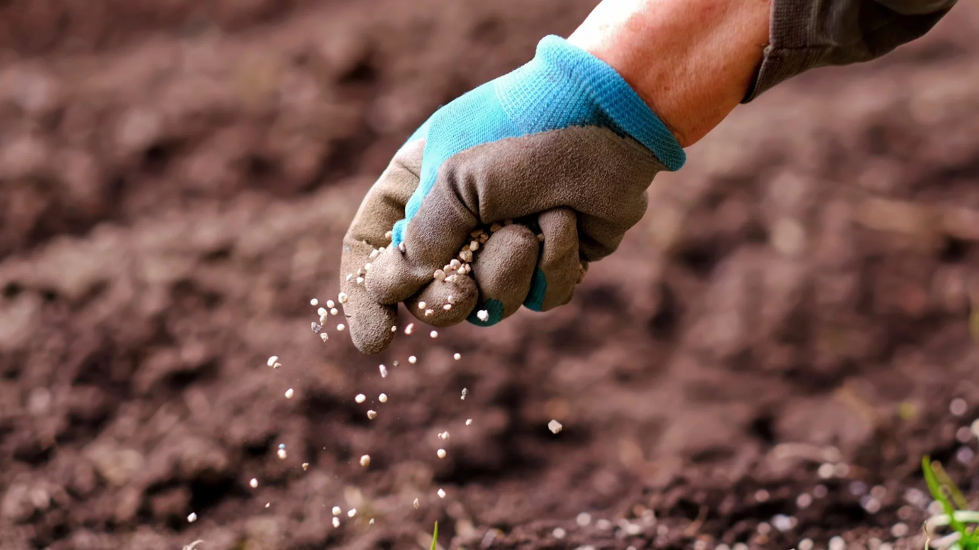 Как да изберем правилния тор за растенията