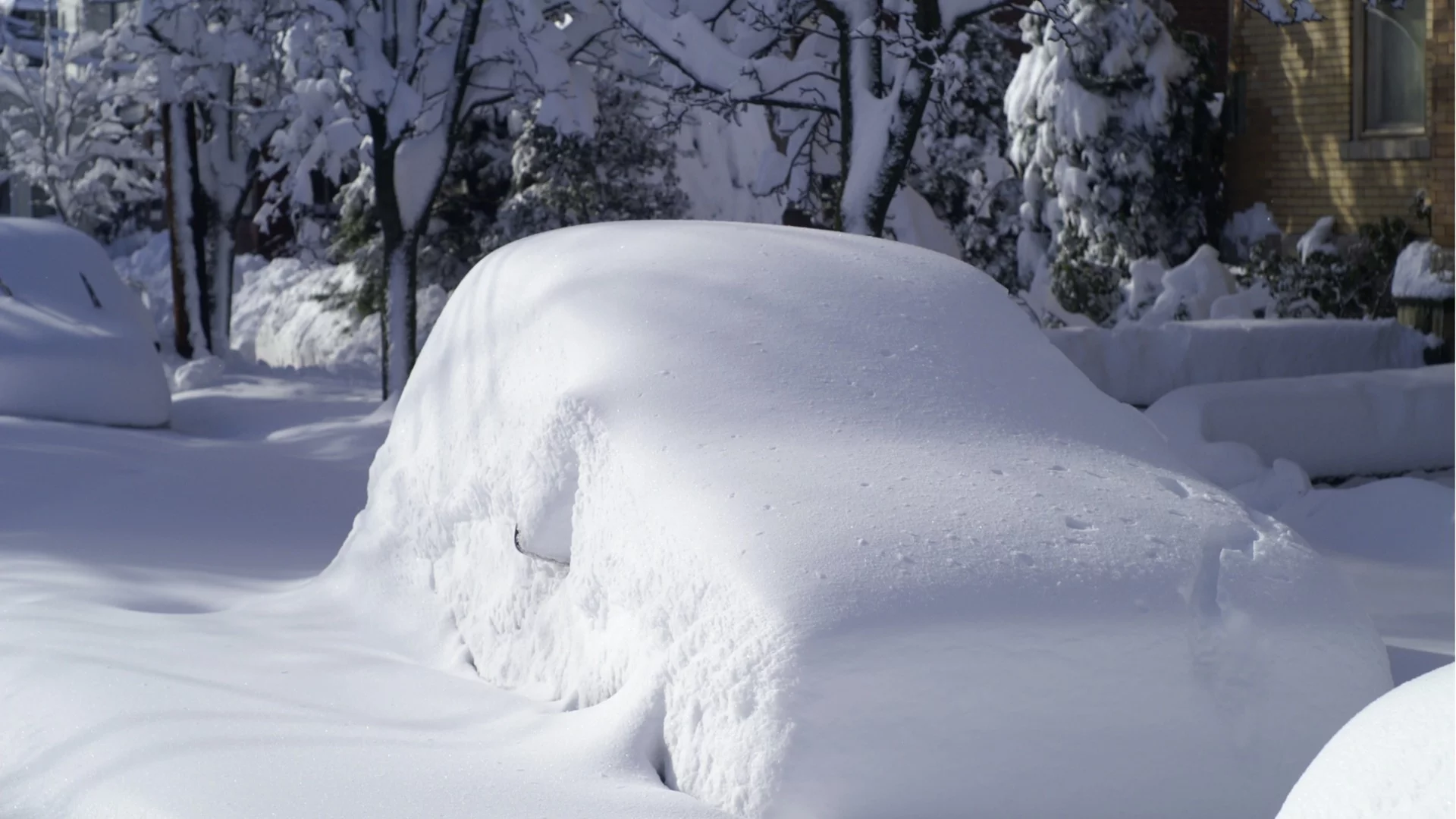 Зимата пак ни изненада: Непочистени улици и закъсали тролейбуси и автобуси в София