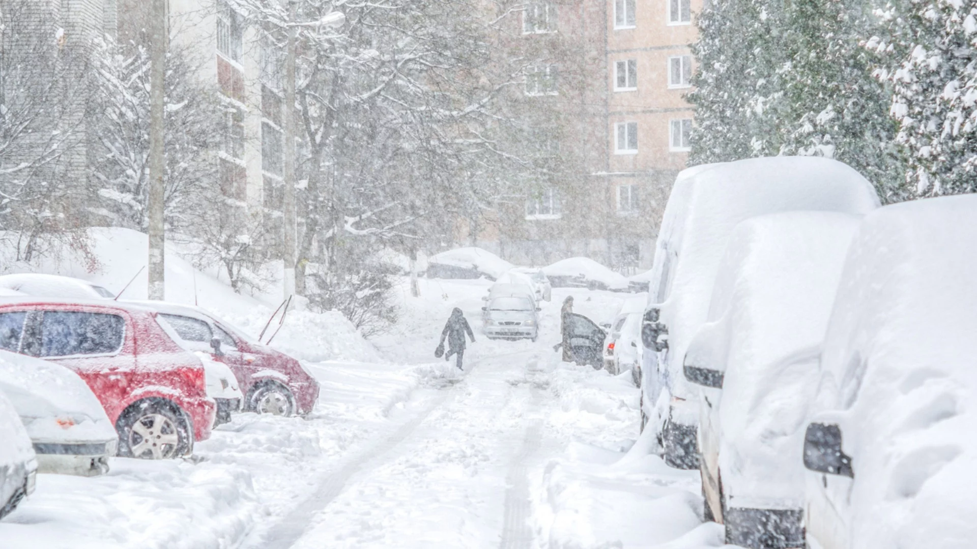 Малък Сечко: Бързо затопляне до вторник, ново застудяване от сряда