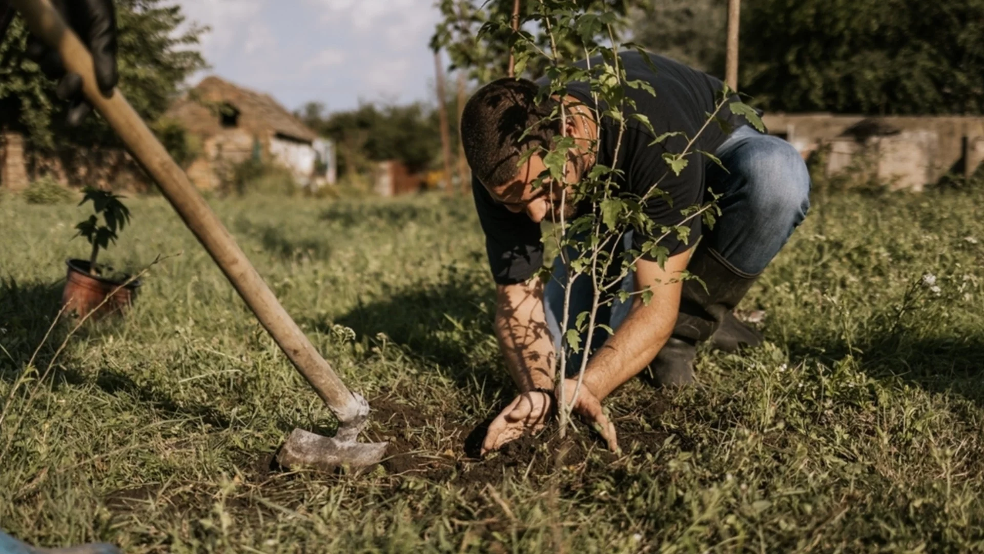 Овошките, които е най-добре да засадите през пролетта