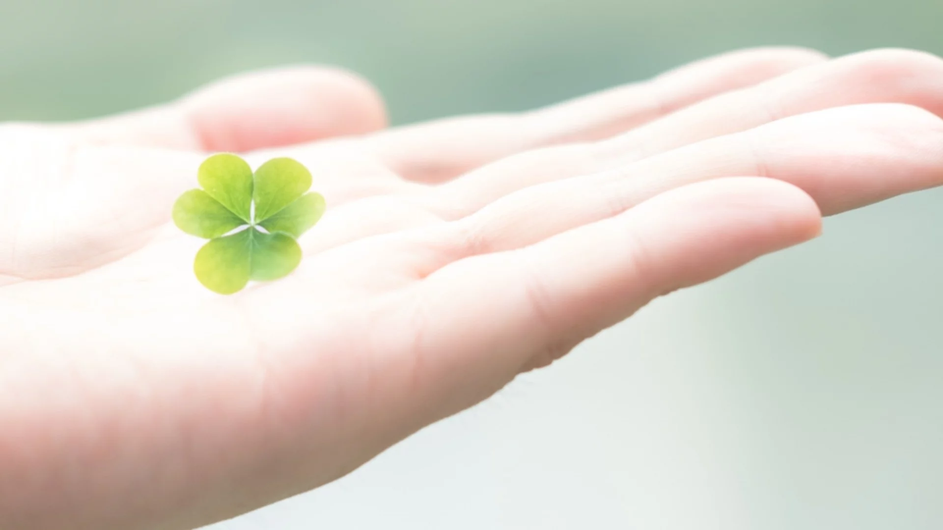 Луд късмет връхлита тези зодии през седмицата от 23 до 28 февруари 2026 г.