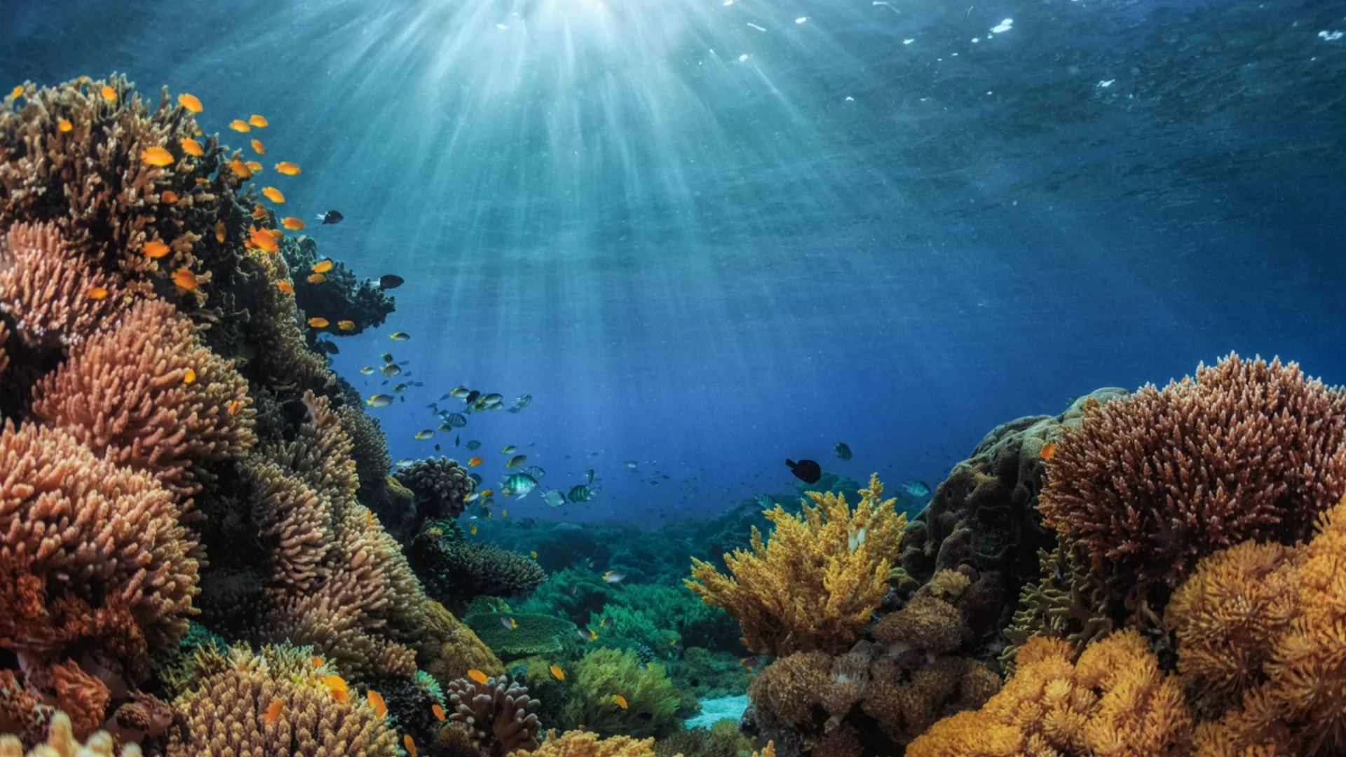 Учени: Този океан бързо губи соленост