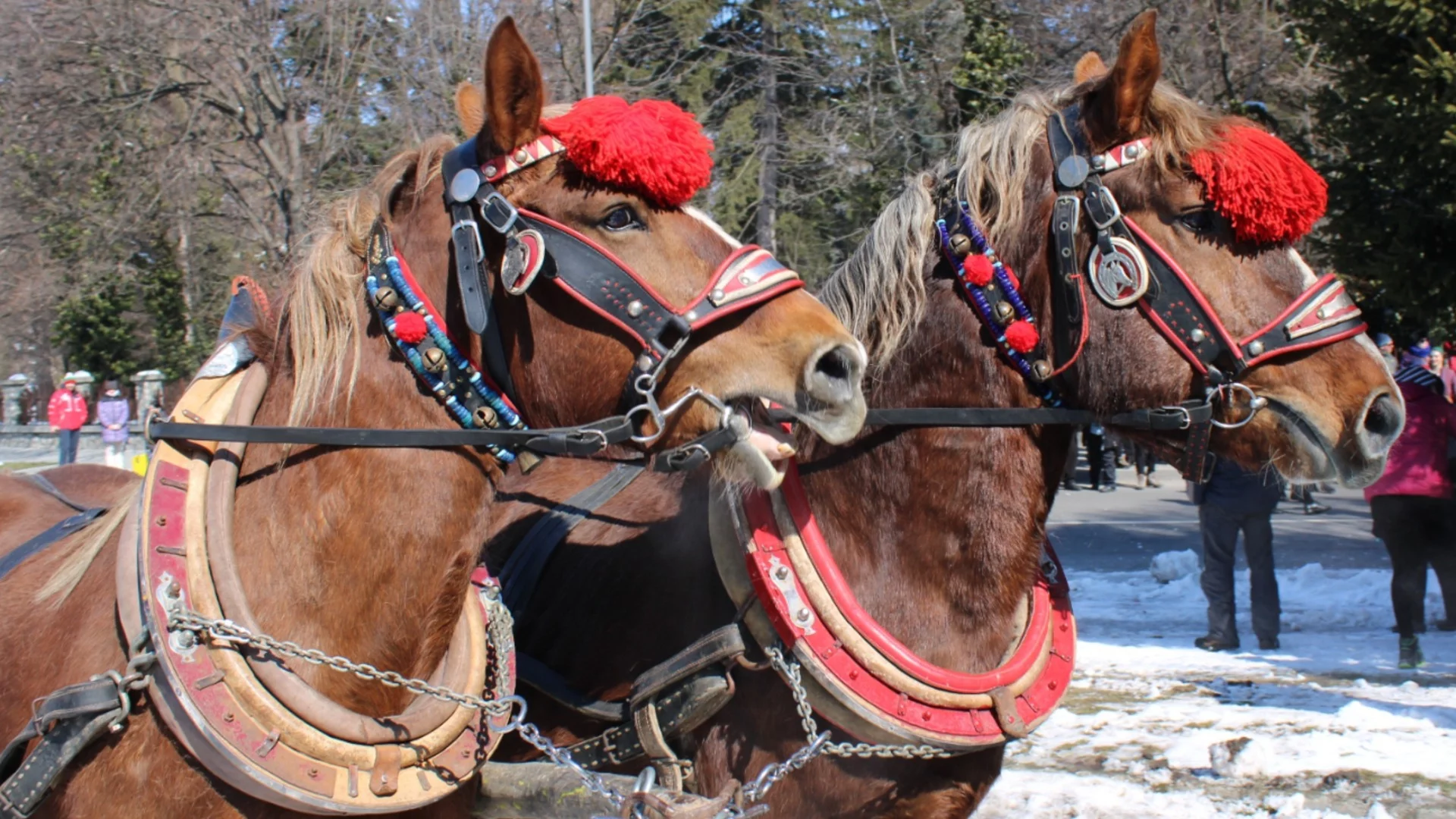 Честваме Тодоровден в събота: Какво се прави и какво се слага на масата