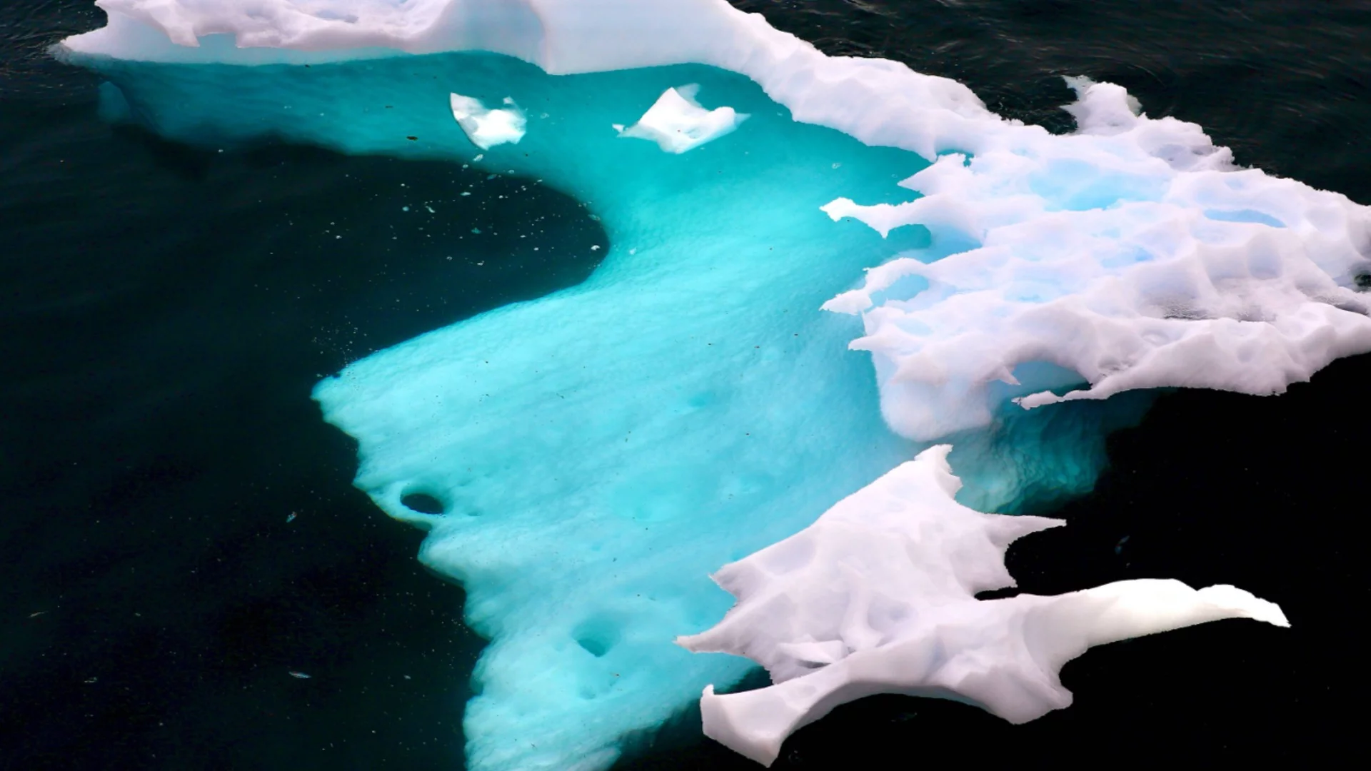 Глобалното затопляне ще доведе до катастрофални последици: Какво очаква Антарктида до 2100 г.