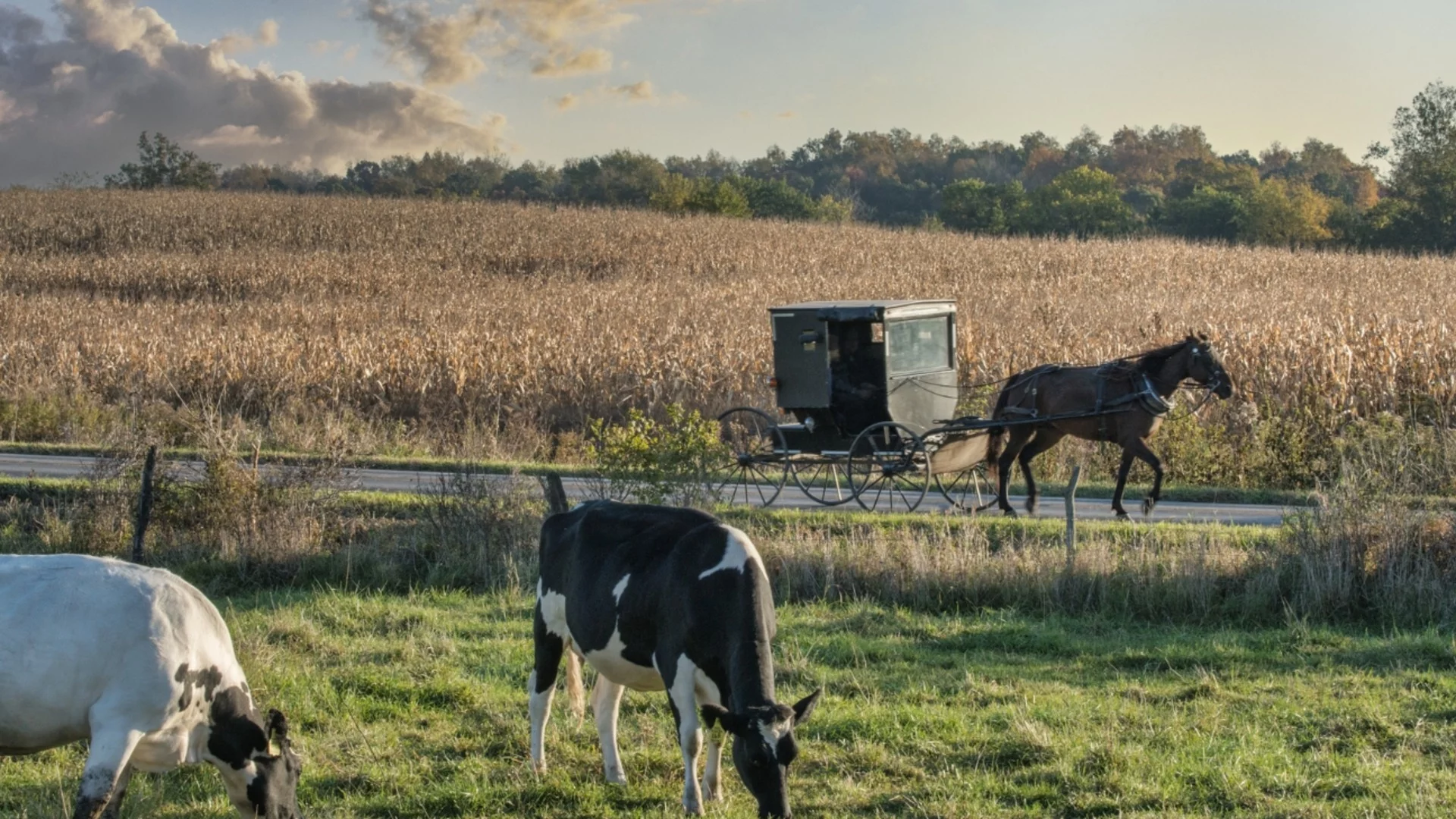 Съвременно робство: Българи са били принуждавани да работят безплатно в Гърция