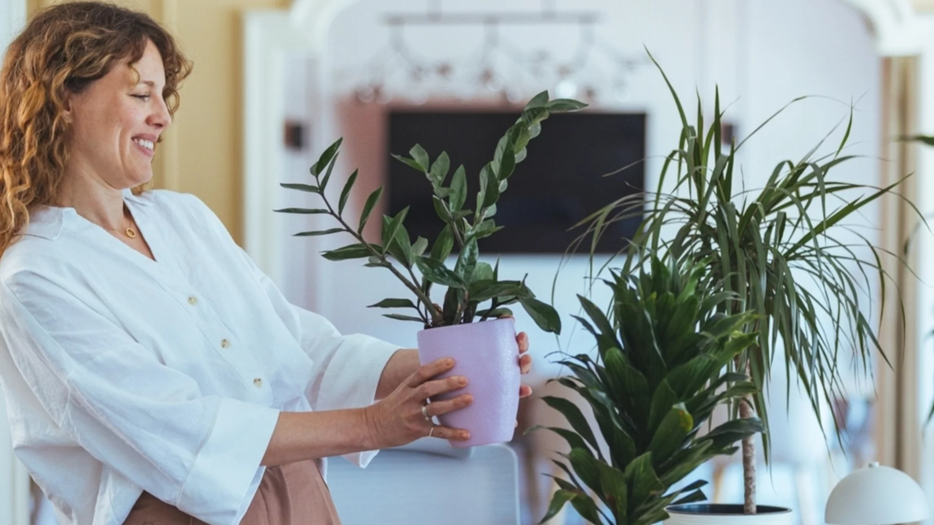 Лепкави листа по стайните растения - какви са причините