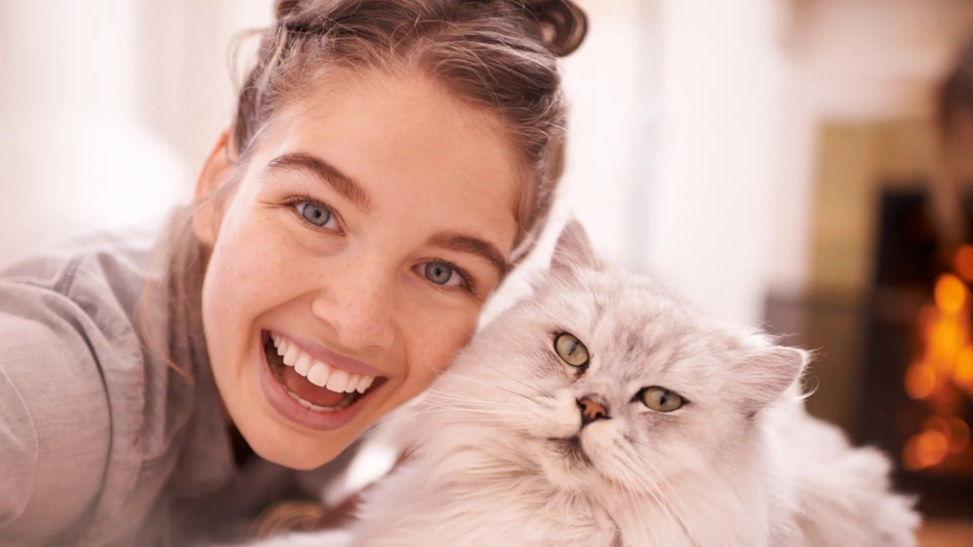 Учените потвърдиха - котките всъщност нямат нужда от нас