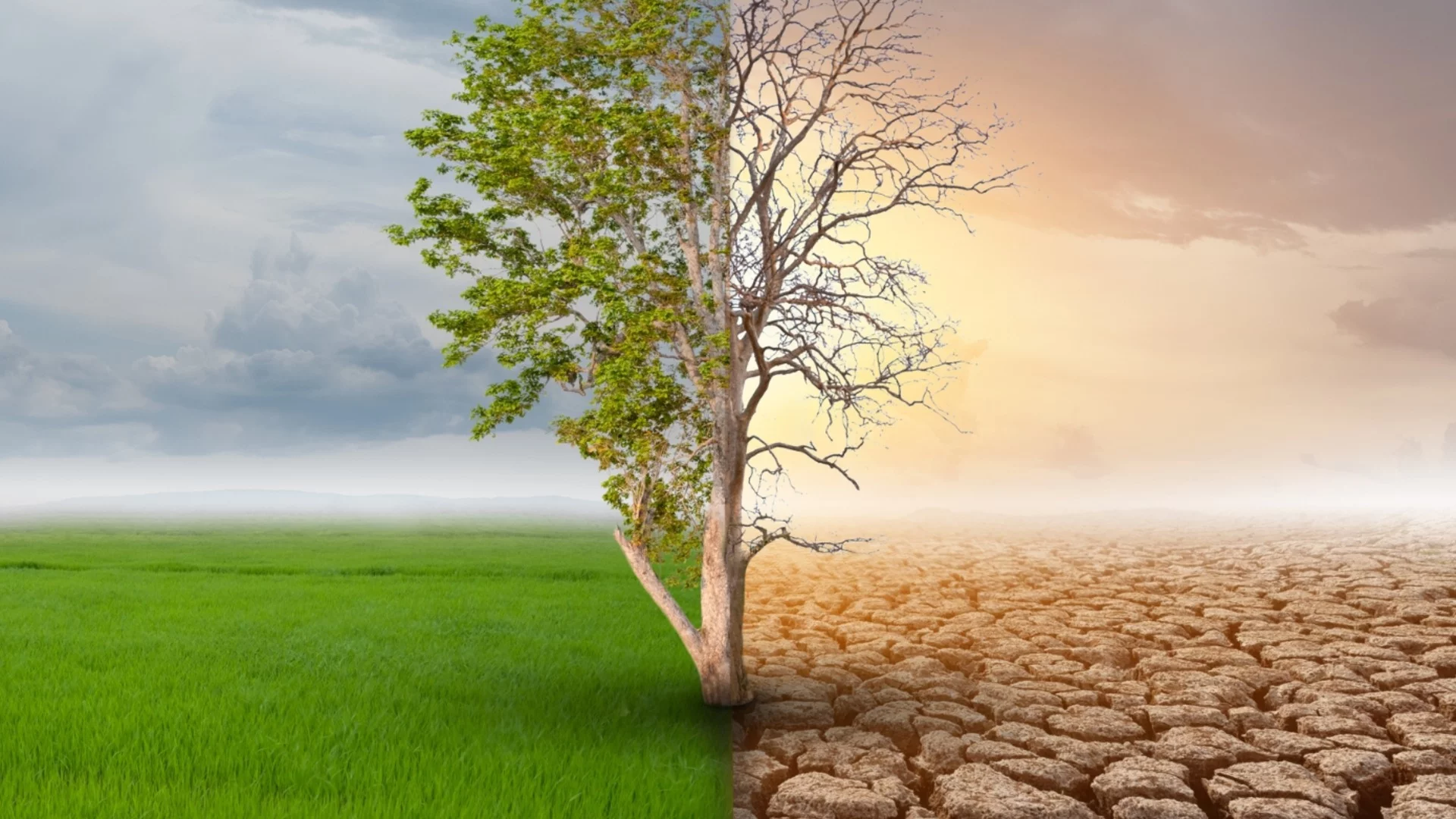 Учени бият тревога: Земята е на прага на нови климатични бедствия