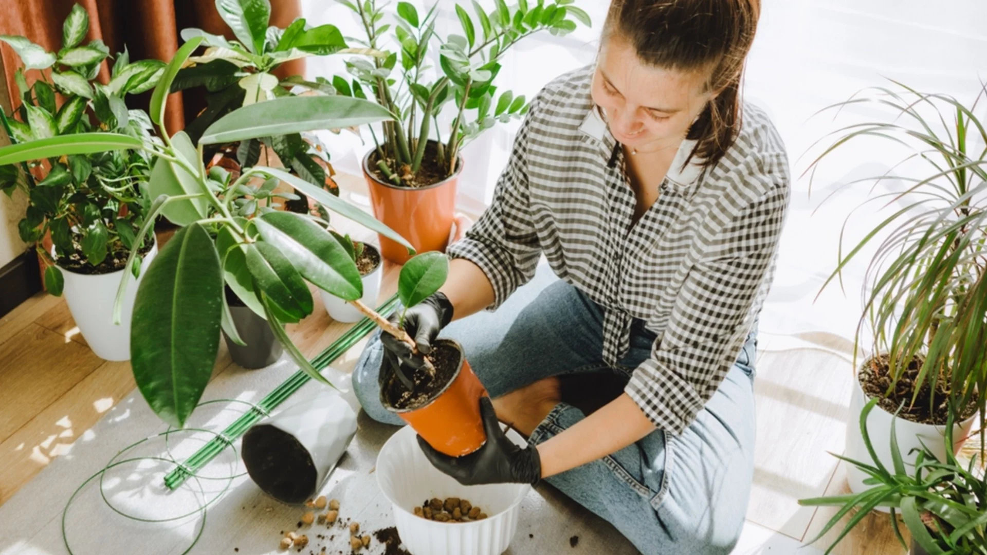 Време е за пресаждане на цветя: Какви материали могат да се използват за дренаж?