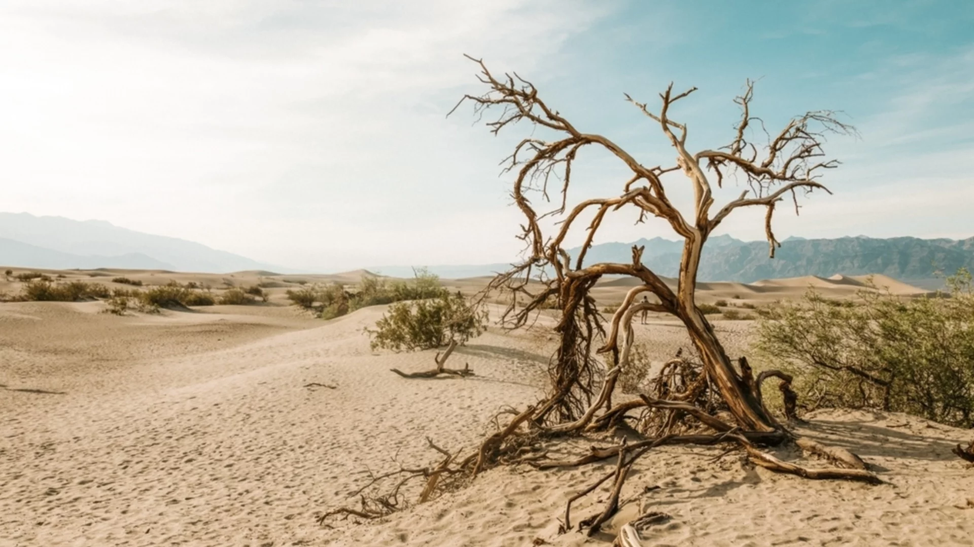 Учени разкриха какъв е бил климатът преди 18 000 години