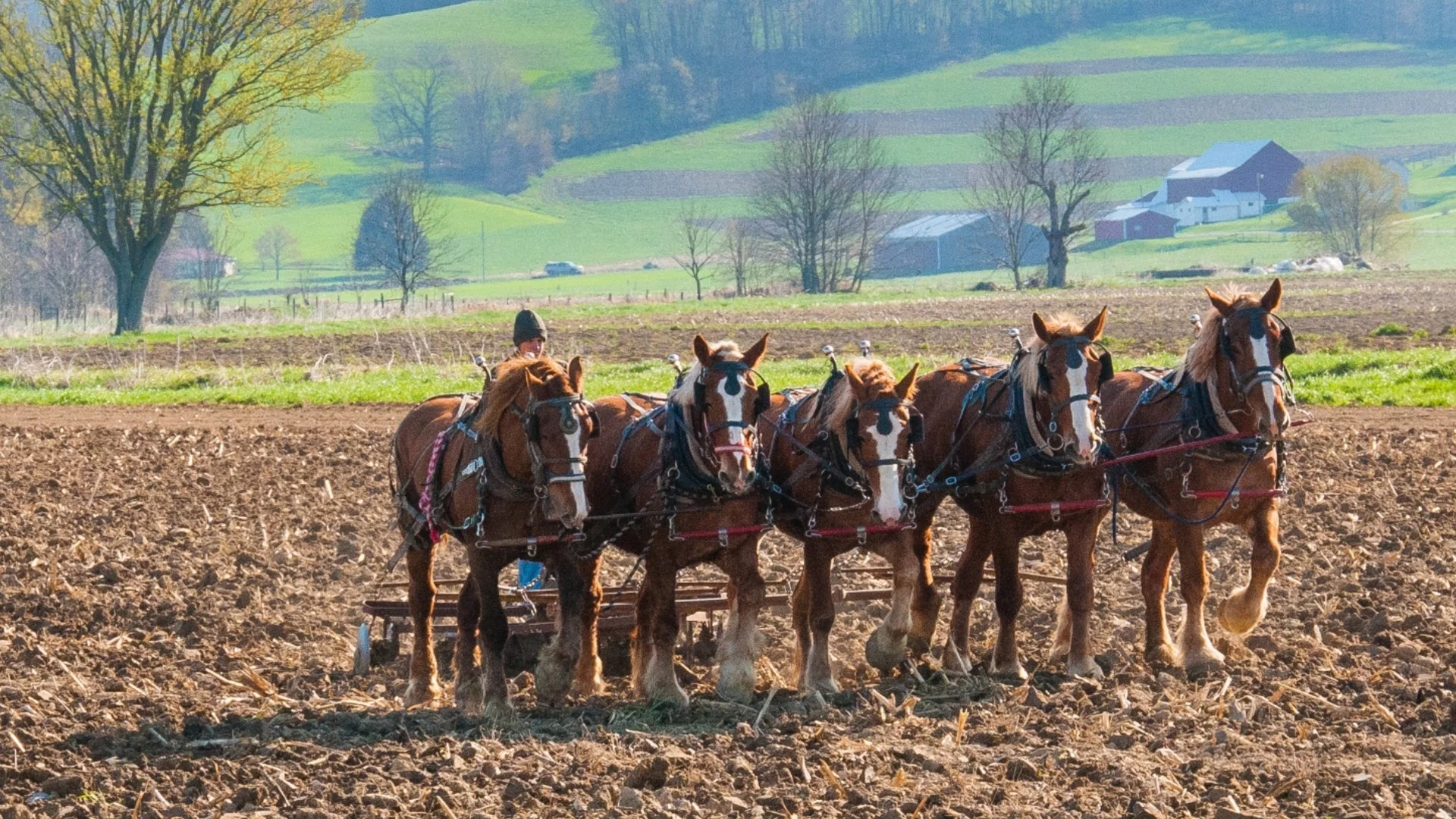 Утре Овен, Лъв + още 2 зодии ще разчистват февруарските авгиеви обори