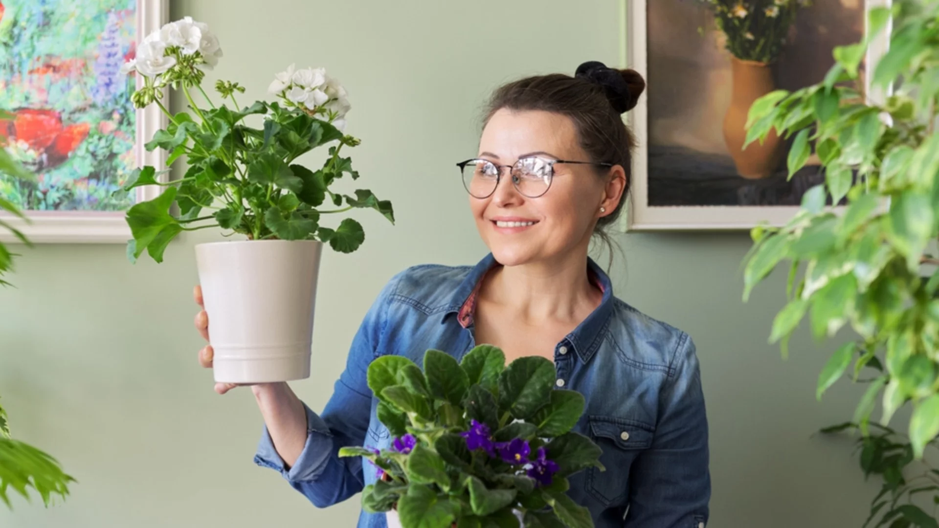 6 стайни растения, които никога не бива да купувате, ако имате алергии