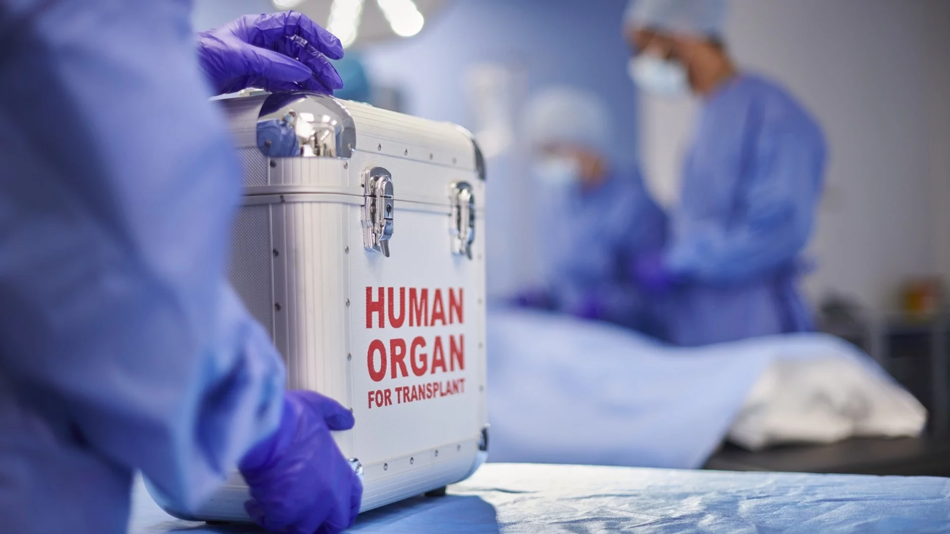 Нов живот за българин и двама румънци след трансплантация