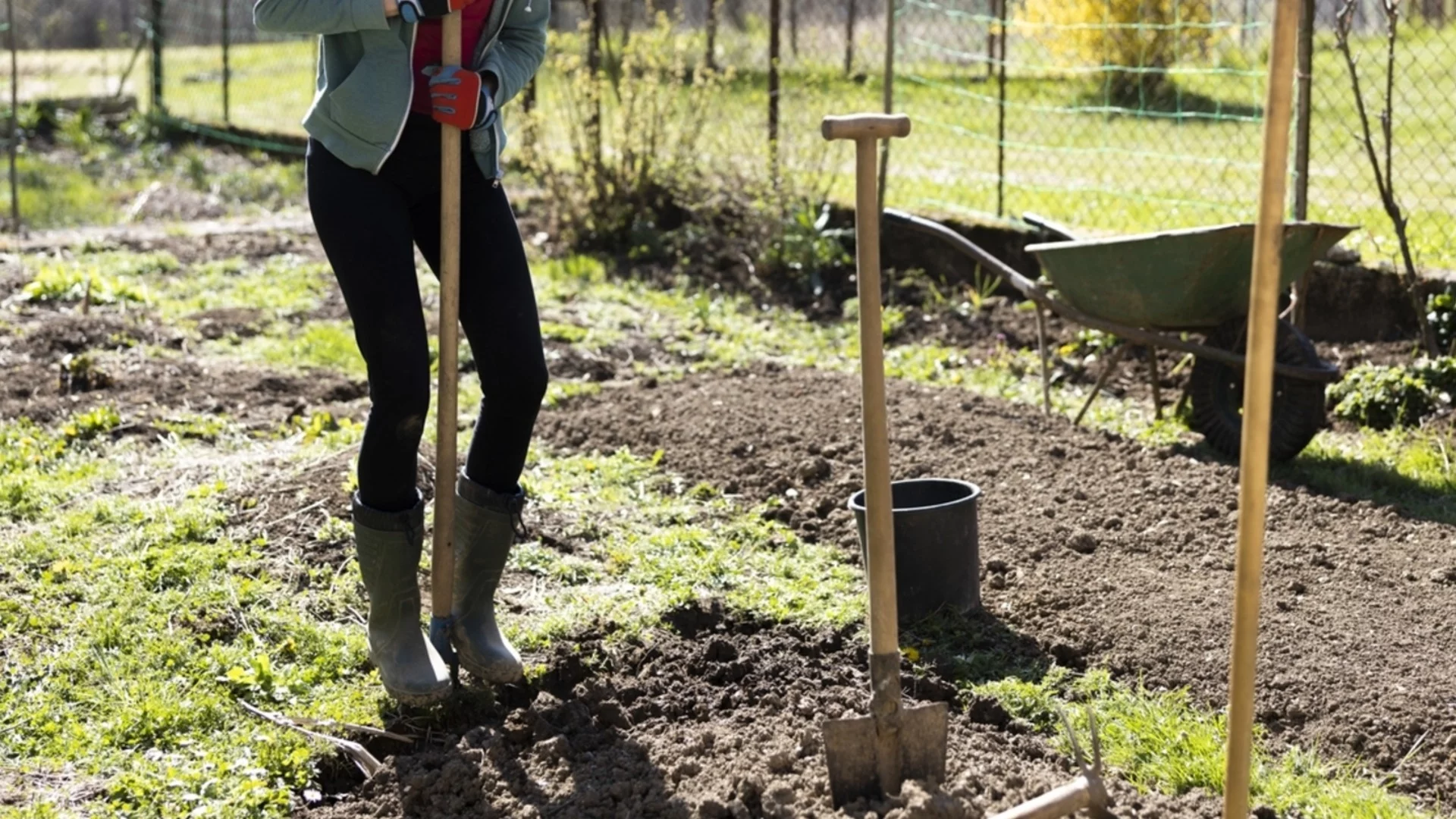 6 сигурни начина да върнете плодородието на градината си още тази пролет