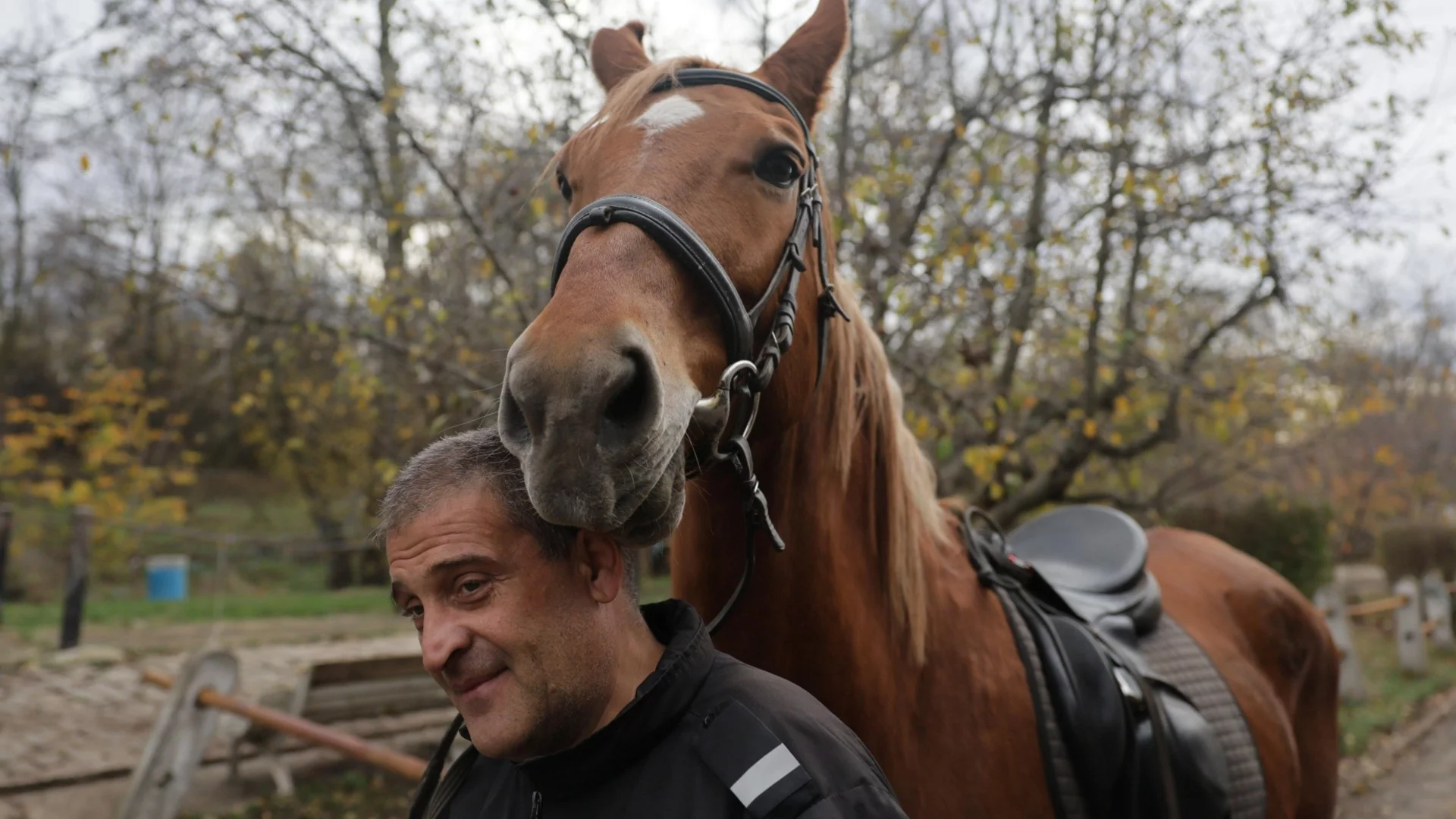 Кушия за Тодоровден и празник на конната полиция в София